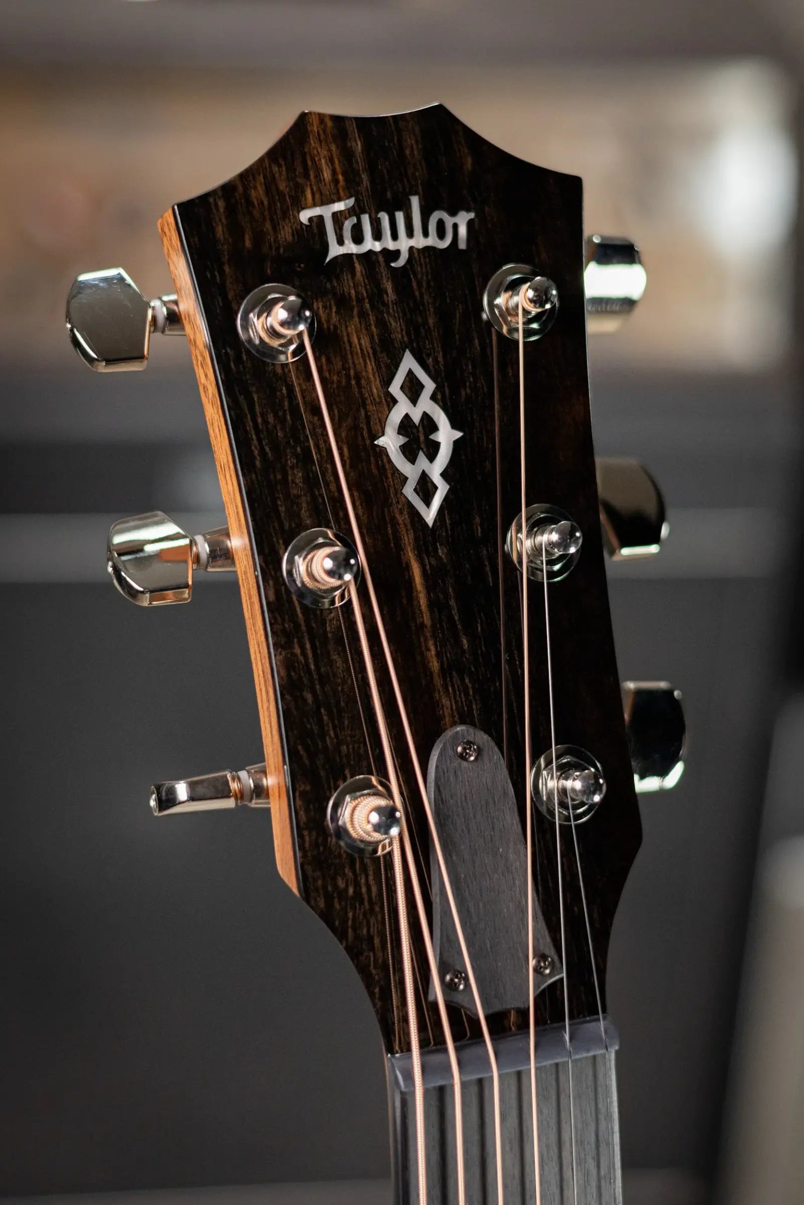 Taylor Next Generation 512ce Grand Concert Acoustic/Electric Guitar with Hardshell Case