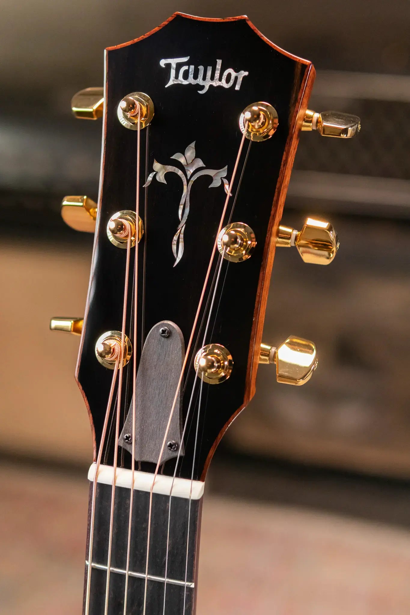 Taylor Legacy 914ce Grand Auditorium Acoustic/Electric Guitar with Hardshell Case