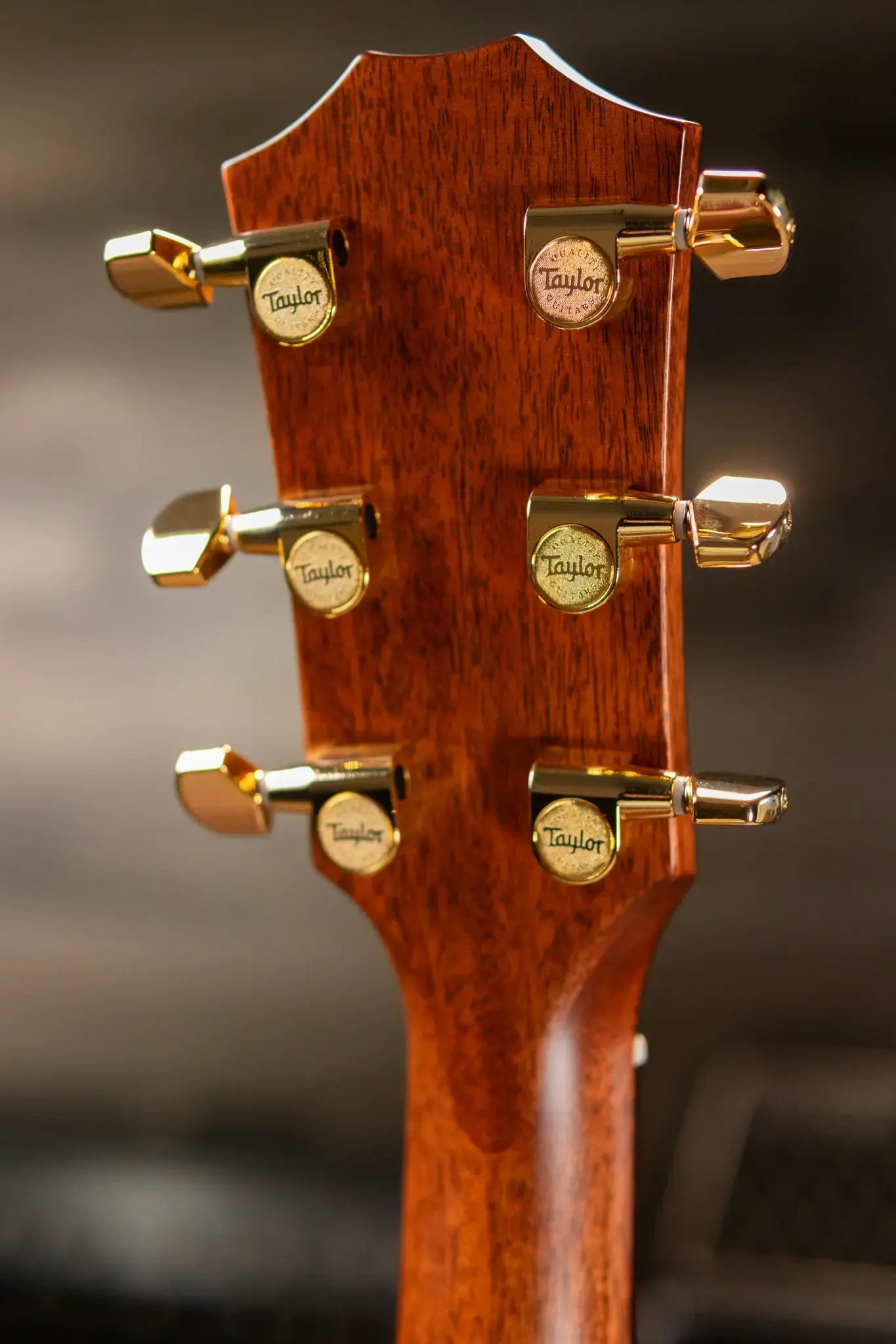 Taylor Legacy 914ce Grand Auditorium Acoustic/Electric Guitar with Hardshell Case