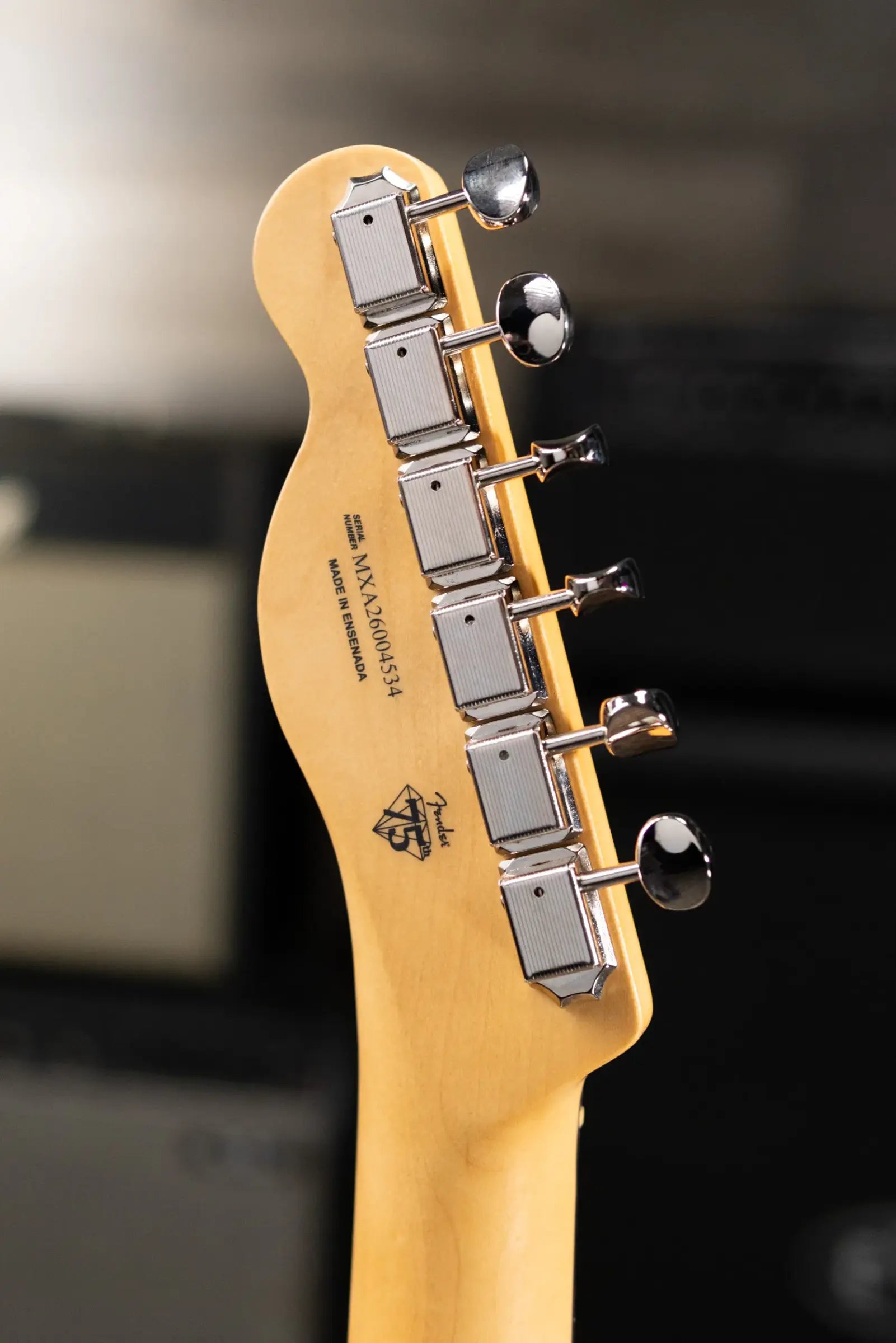 Fender Player II Telecaster HH Electric Guitar - Cactus Gray