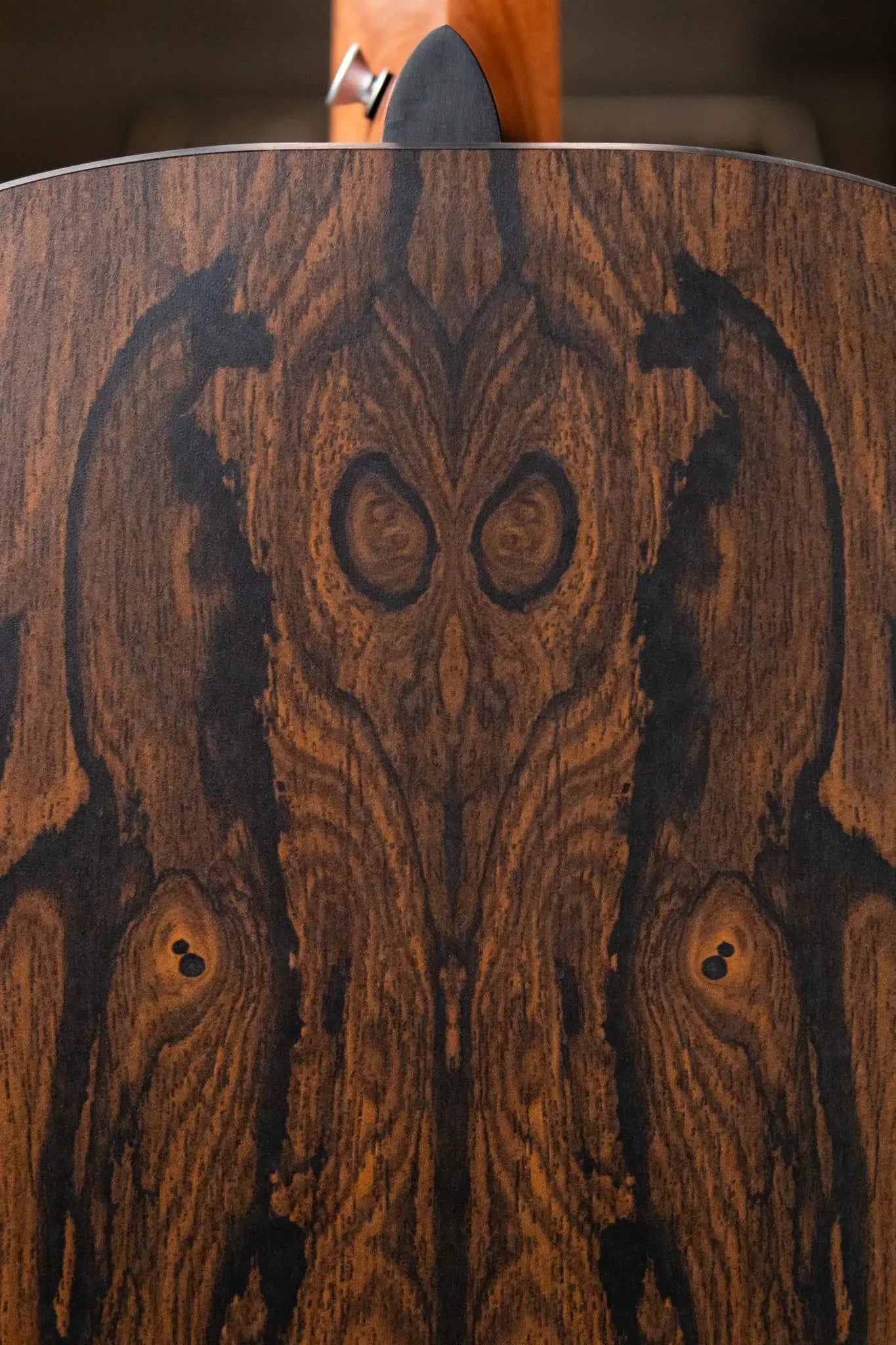 Martin GP-X2E Ziricote Special Acoustic/Electric Guitar with Gig Bag