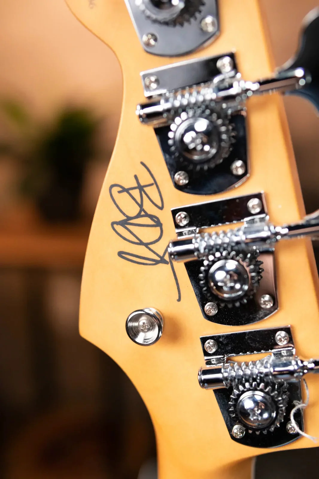 Fender Limited Player Plus X Blu Detiger Jazz Bass - Sky Burst Sparkle with Deluxe Gig Bag