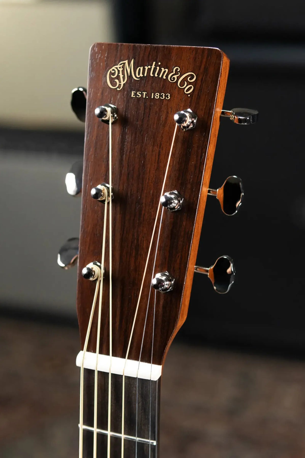 Martin GPC-16E 16 Series Acoustic/Electric Guitar - Natural with Gig Bag