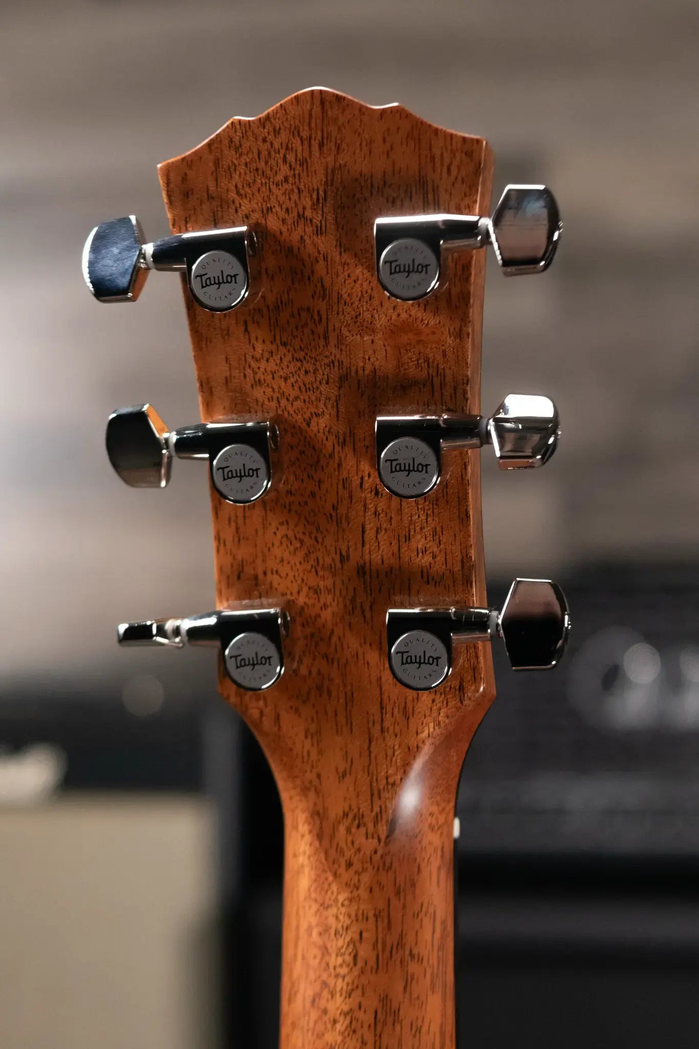 Taylor Gold Label 514e Super Auditorium Acoustic/Electric Guitar - Blacktop with Hardshell Case - Demo