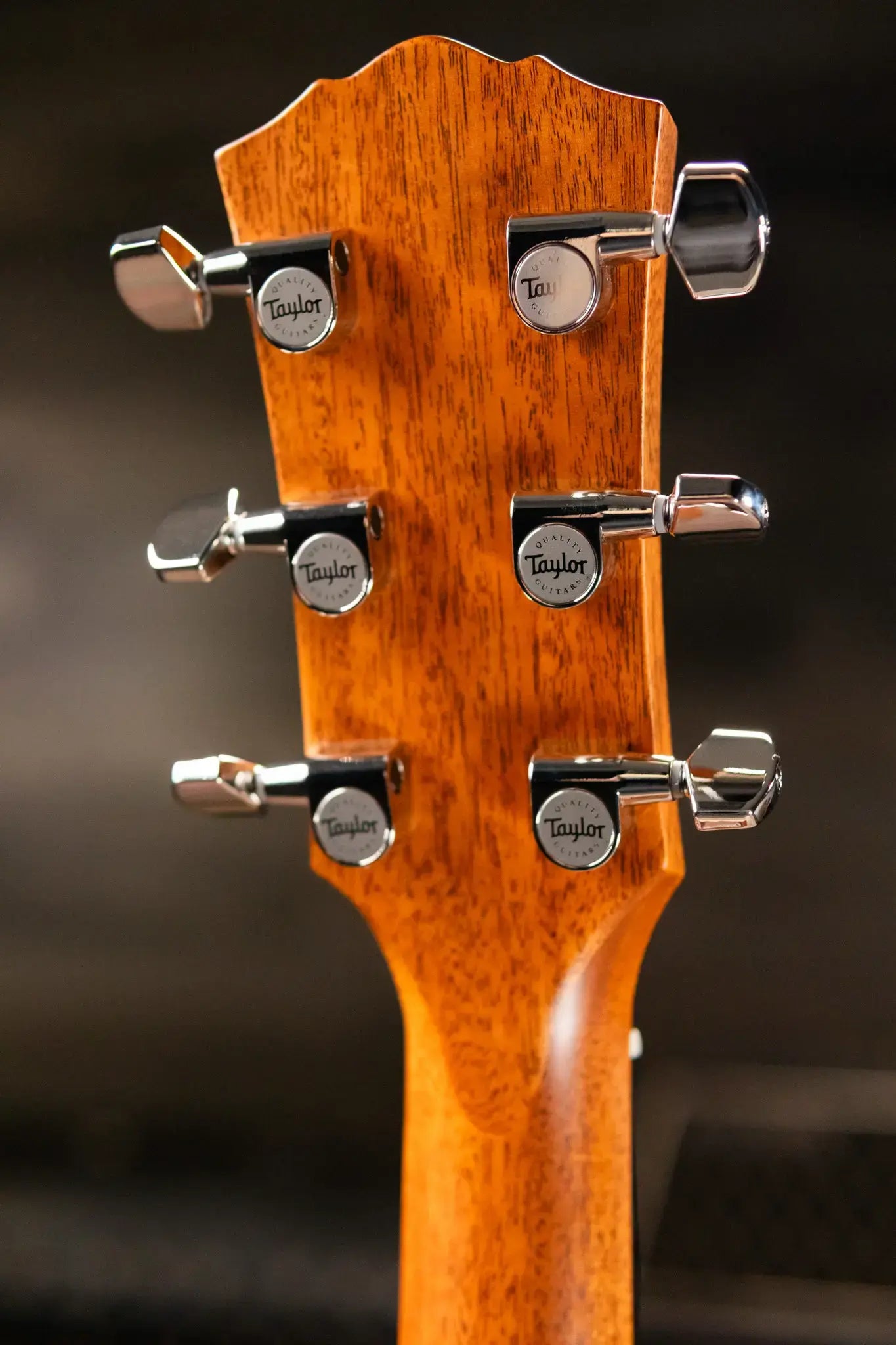 Taylor Gold Label 514e Super Auditorium Acoustic/Electric Guitar with Hardshell Case