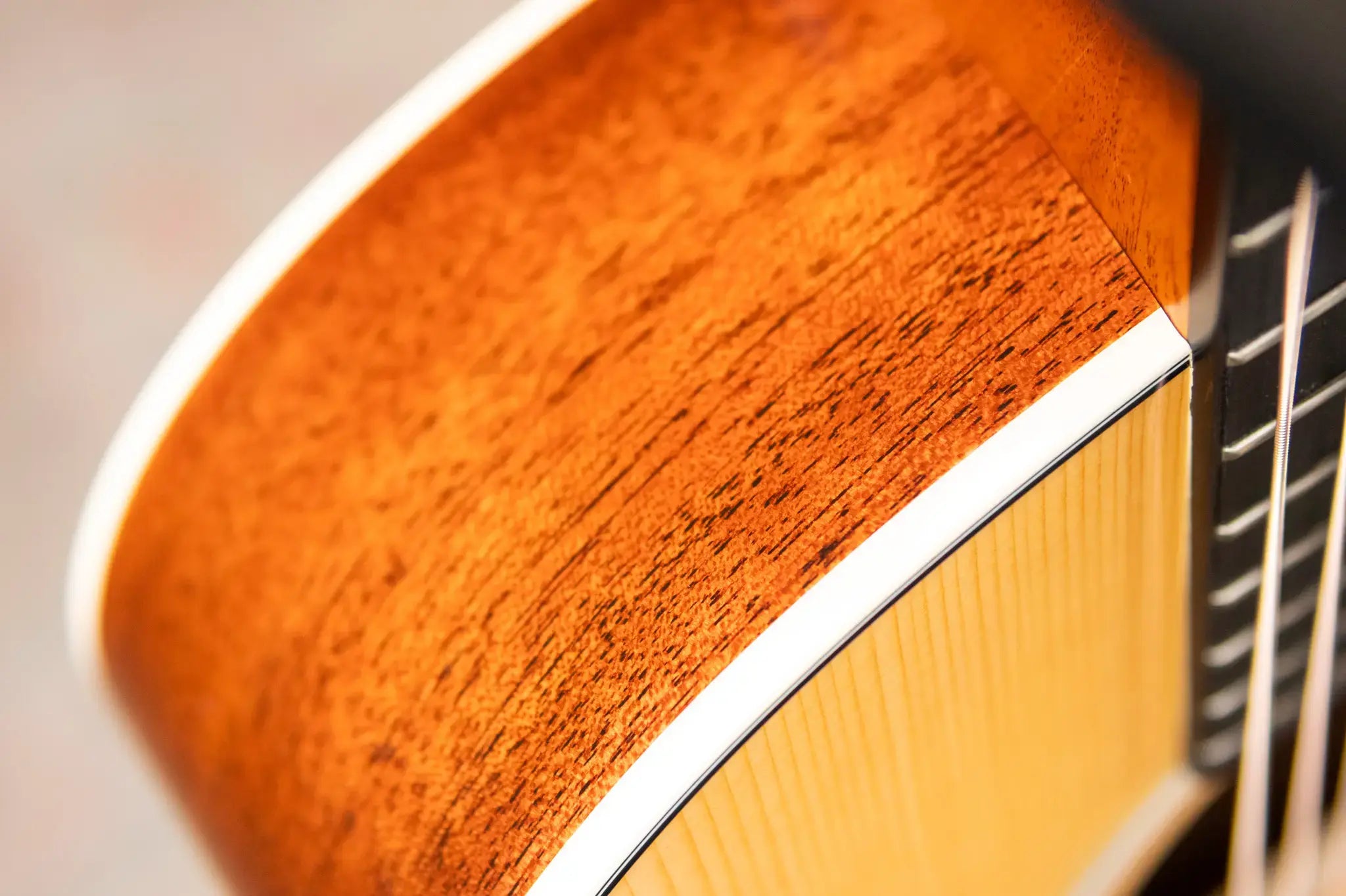 Taylor Gold Label 514e Super Auditorium Acoustic/Electric Guitar with Hardshell Case