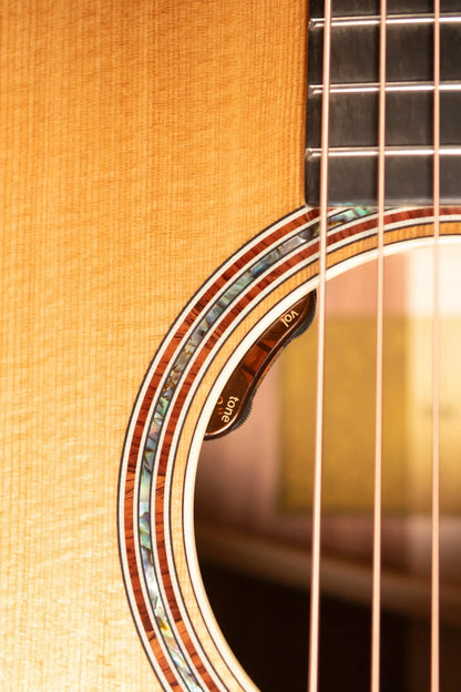 Taylor Gold Label 817e Grand Pacific Acoustic/Electric Guitar - Natural Top with Hardshell Case