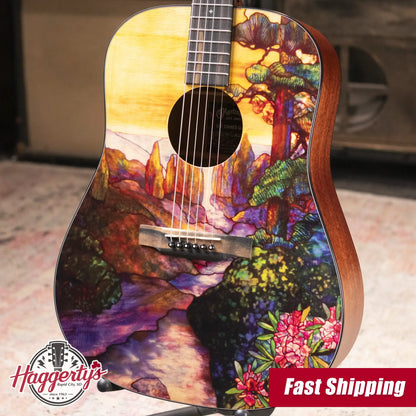 Martin D-11 Acoustic Guitar - Stained Glass with Gig Bag