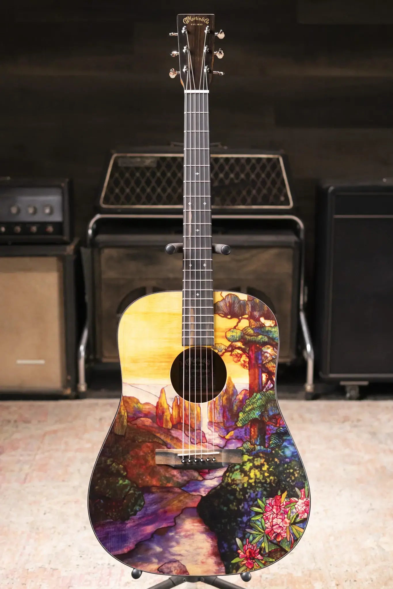 Martin D-11 Acoustic Guitar - Stained Glass with Gig Bag