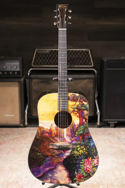 Martin D-11 Acoustic Guitar - Stained Glass with Gig Bag
