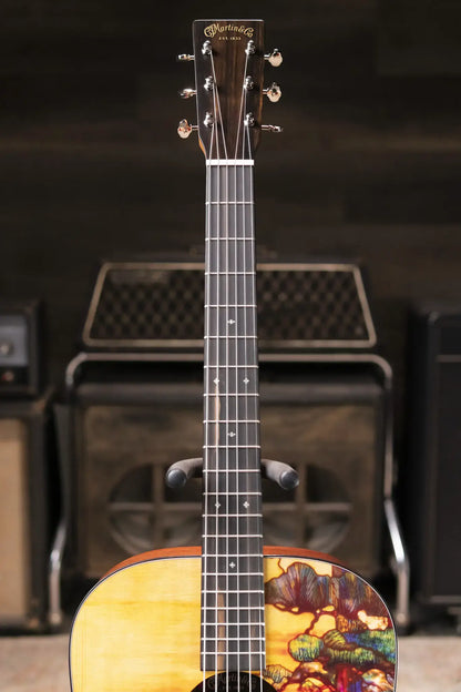 Martin D-11 Acoustic Guitar - Stained Glass with Gig Bag