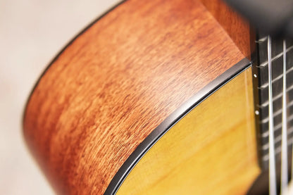 Martin D-11 Acoustic Guitar - Stained Glass with Gig Bag