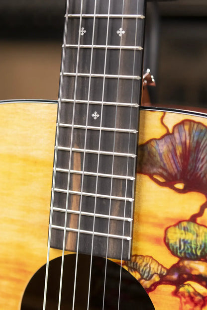 Martin D-11 Acoustic Guitar - Stained Glass with Gig Bag