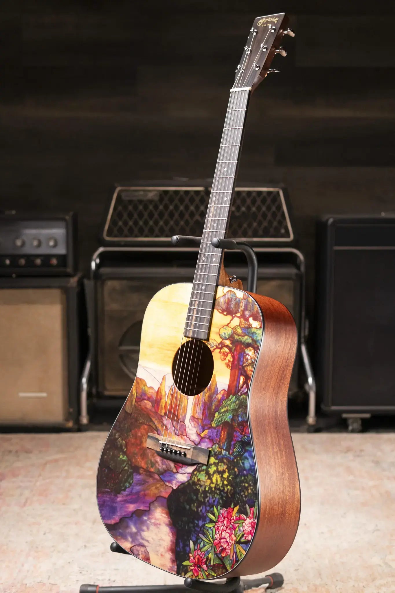 Martin D-11 Acoustic Guitar - Stained Glass with Gig Bag