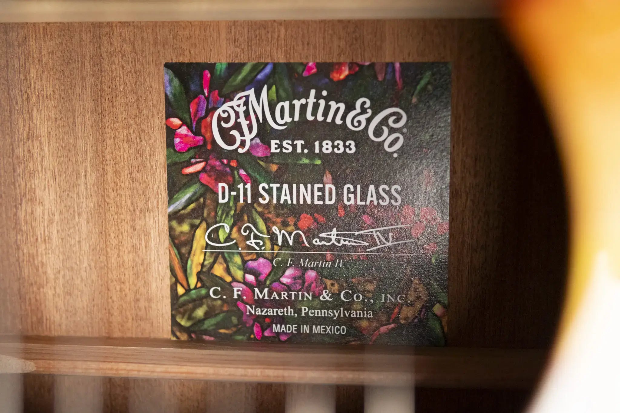 Martin D-11 Acoustic Guitar - Stained Glass with Gig Bag