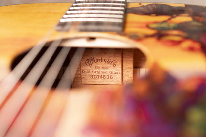 Martin D-11 Acoustic Guitar - Stained Glass with Gig Bag