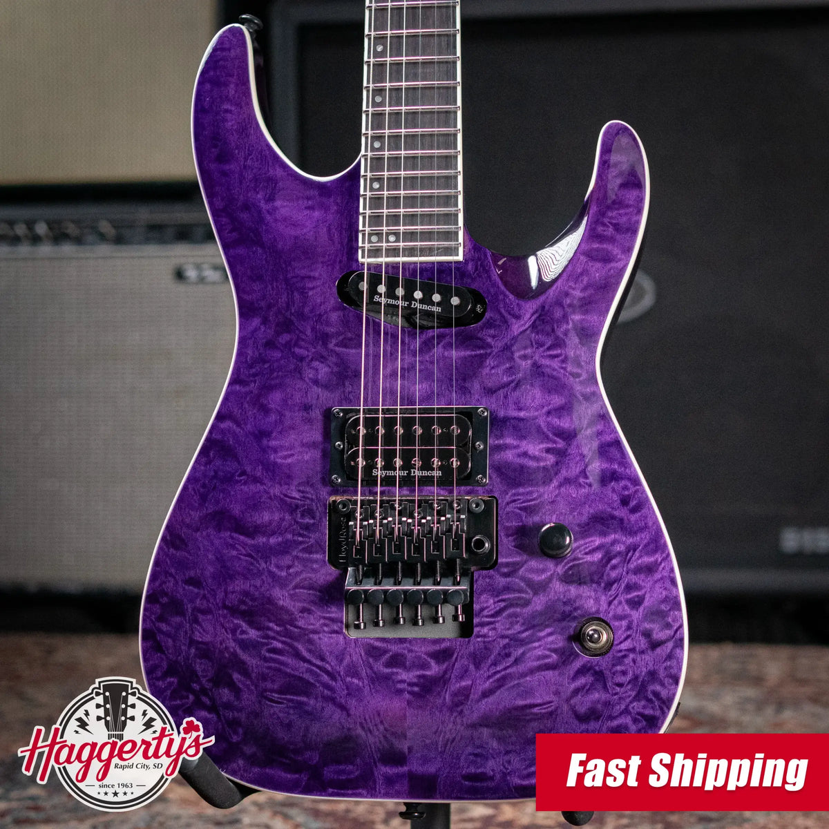 ESP LTD Andy LaRocque ALR-II Signature Electric Guitar - See-Thru Purple with Hardshell Case