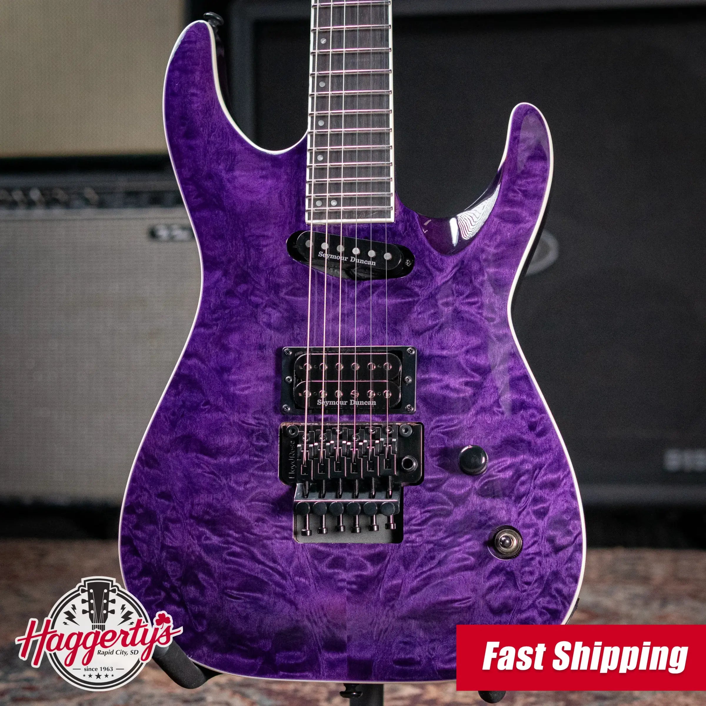 ESP LTD Andy LaRocque ALR-II Signature Electric Guitar - See-Thru Purple with Hardshell Case