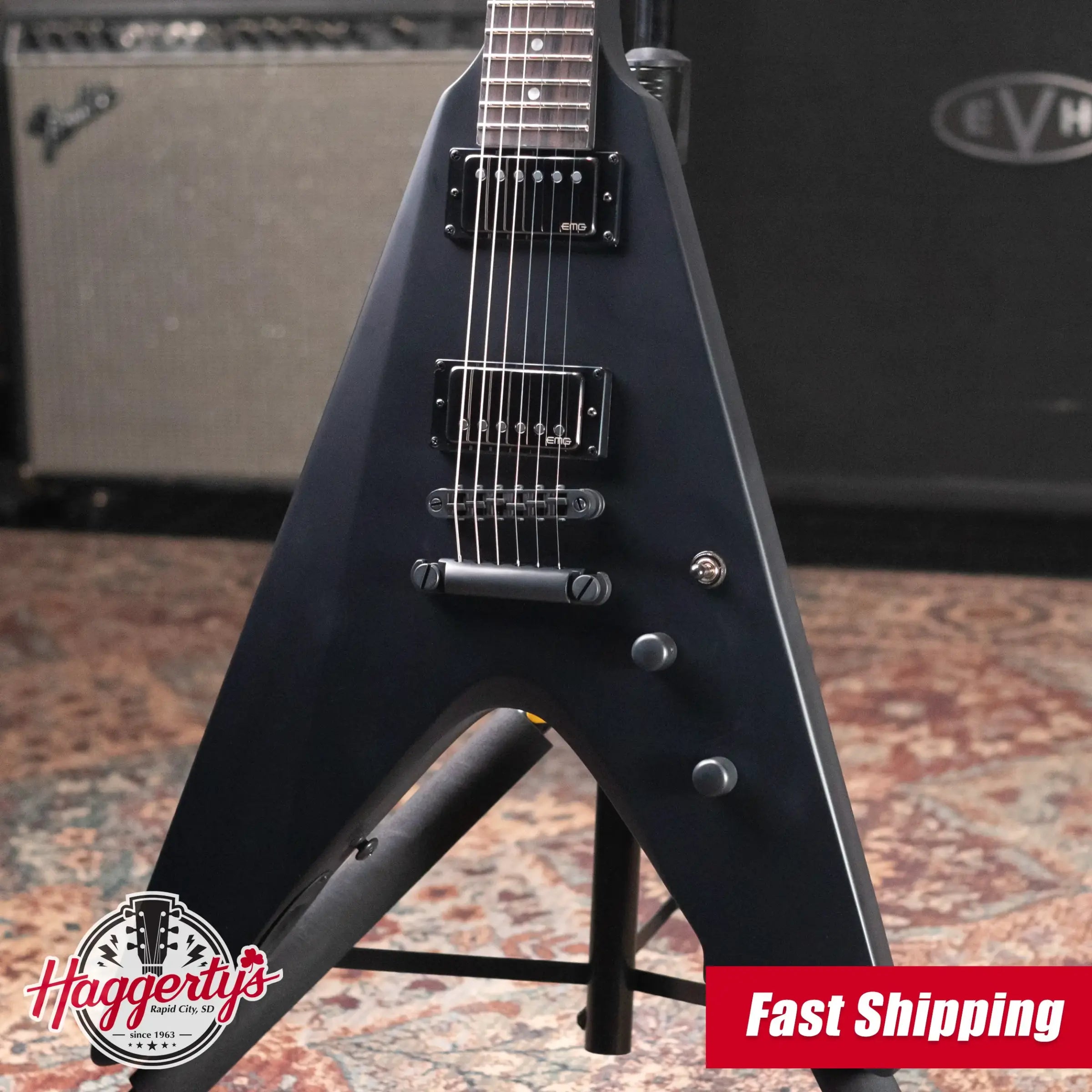 ESP LTD James Hetfield Signature Vulture Electric Guitar - Black with Hardshell Case