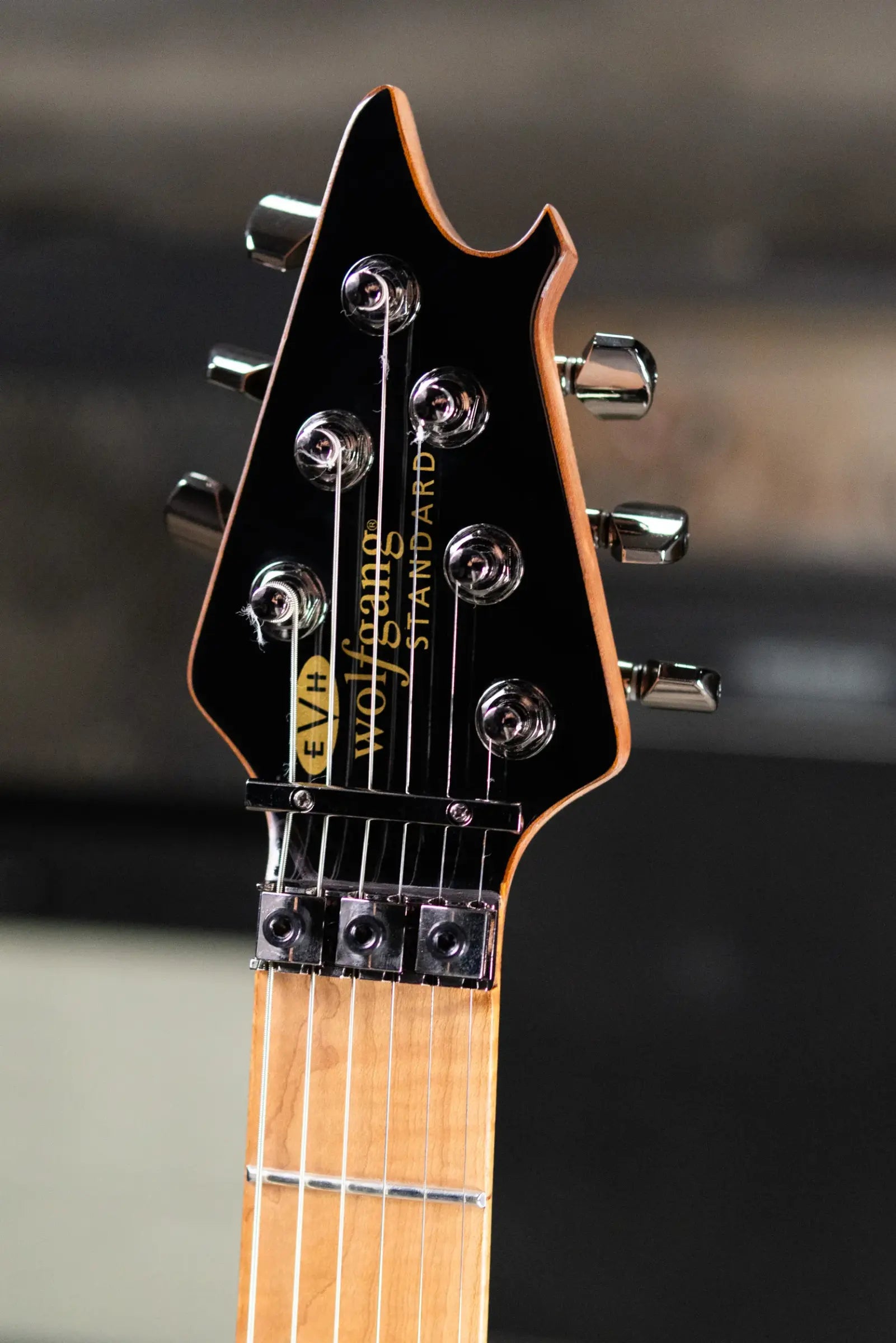 EVH Wolfgang WG Standard QM Electric Guitar - Northern Lights