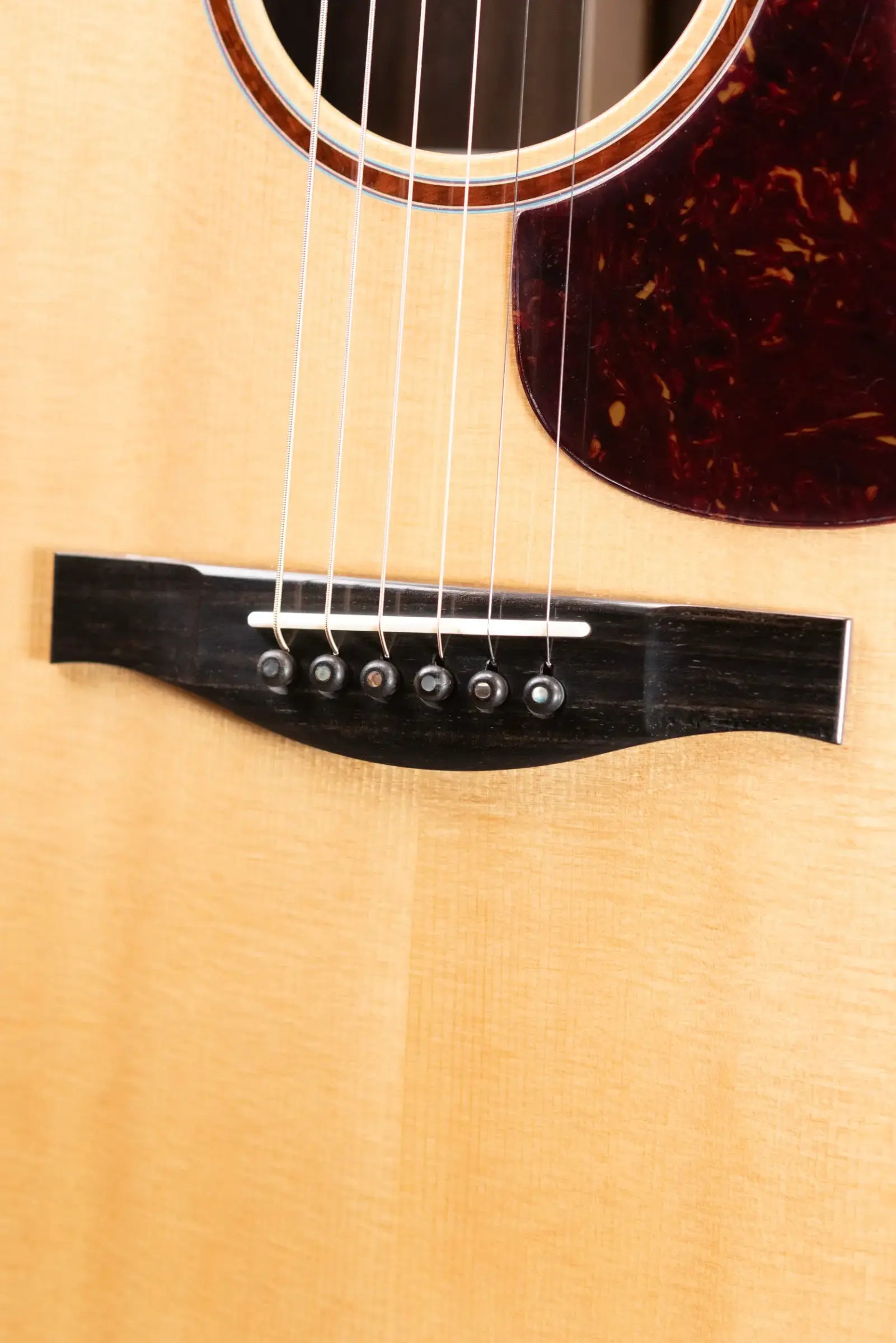 Eastman AC722ce Grand Auditorium Acoustic/Electric Guitar with Hardshell Case