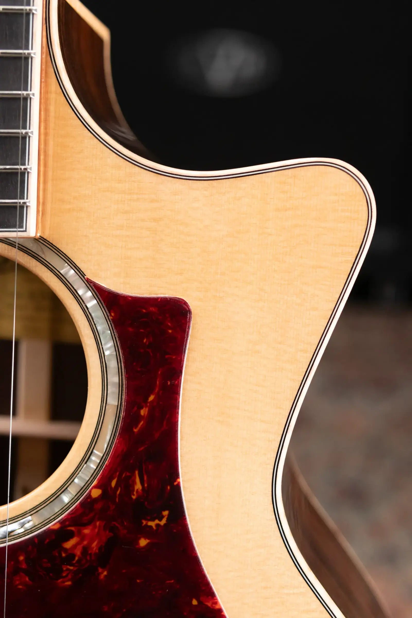 Eastman AC822CE-FF Fan Fret Grand Auditorium Acoustic/Electric Guitar with Hardshell Case