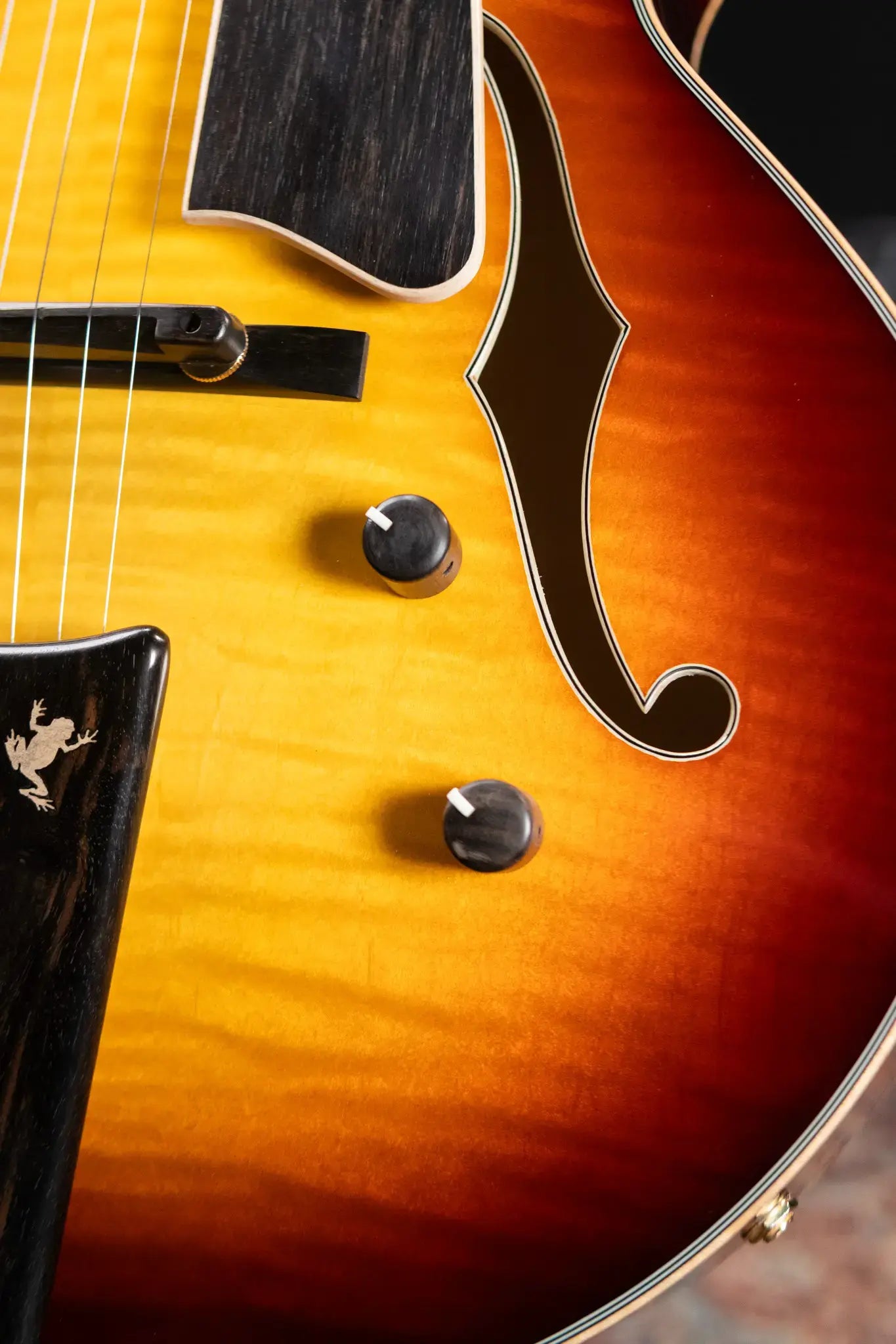 Eastman AR480CE-SB John Pisano 30th Anniversary Edition - Sunburst with Hardshell Case - Demo