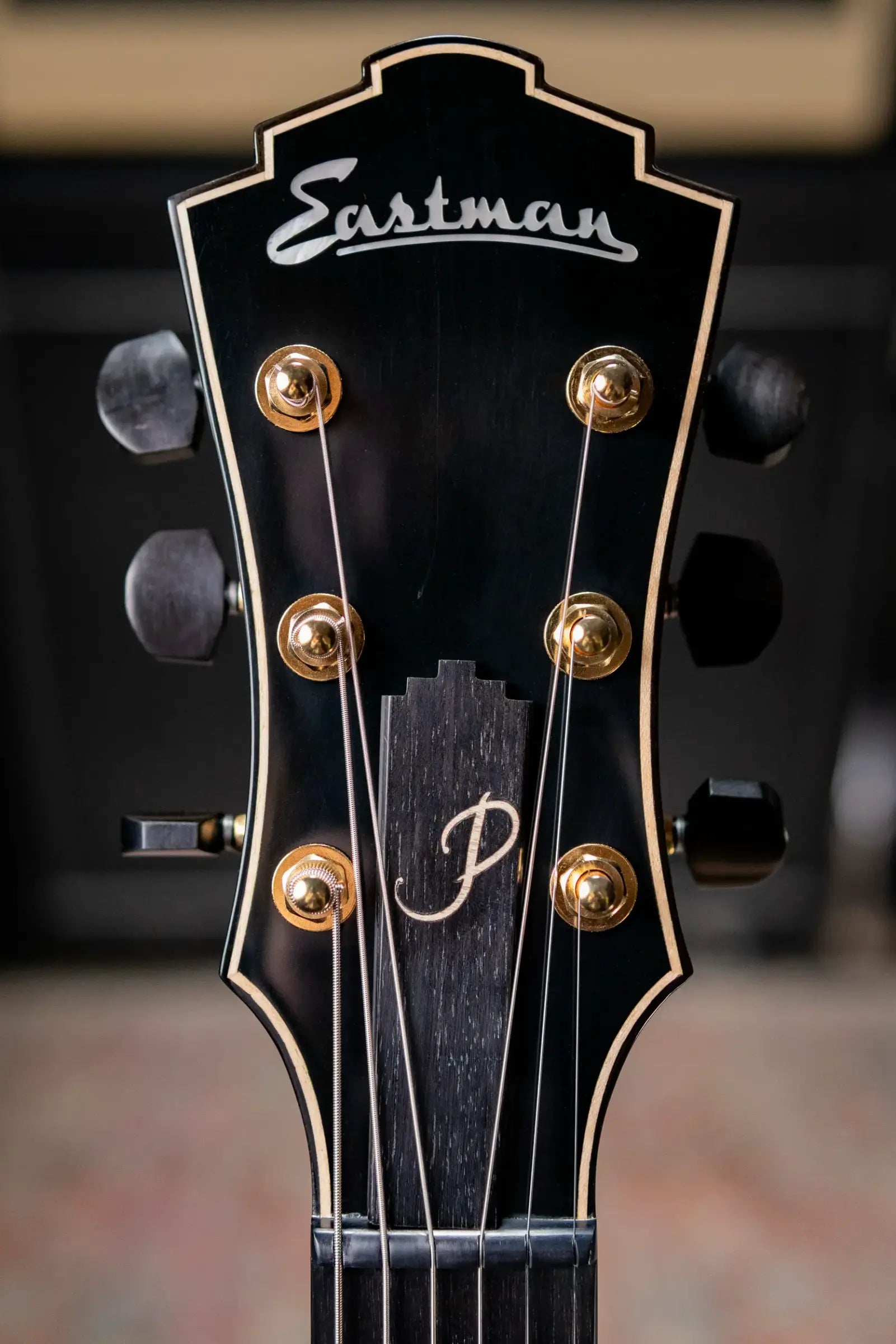 Eastman AR480CE-SB John Pisano Signature Archtop Hollowbody Electric Guitar - Sunburst with Hardshell Case