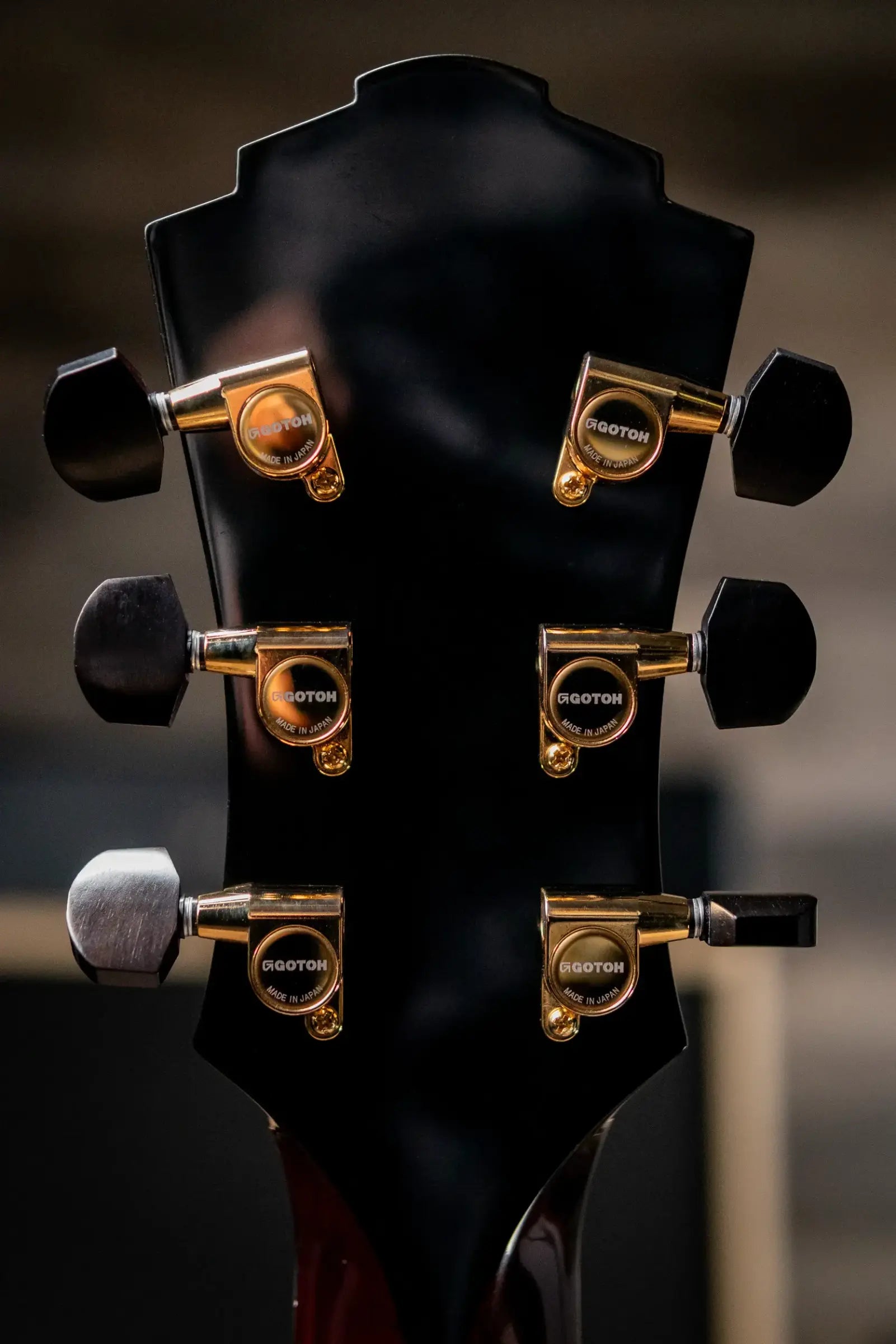 Eastman AR480CE-SB John Pisano Signature Archtop Hollowbody Electric Guitar - Sunburst with Hardshell Case