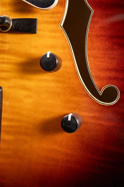 Eastman AR480CE-SB John Pisano Signature Archtop Hollowbody Electric Guitar - Sunburst with Hardshell Case