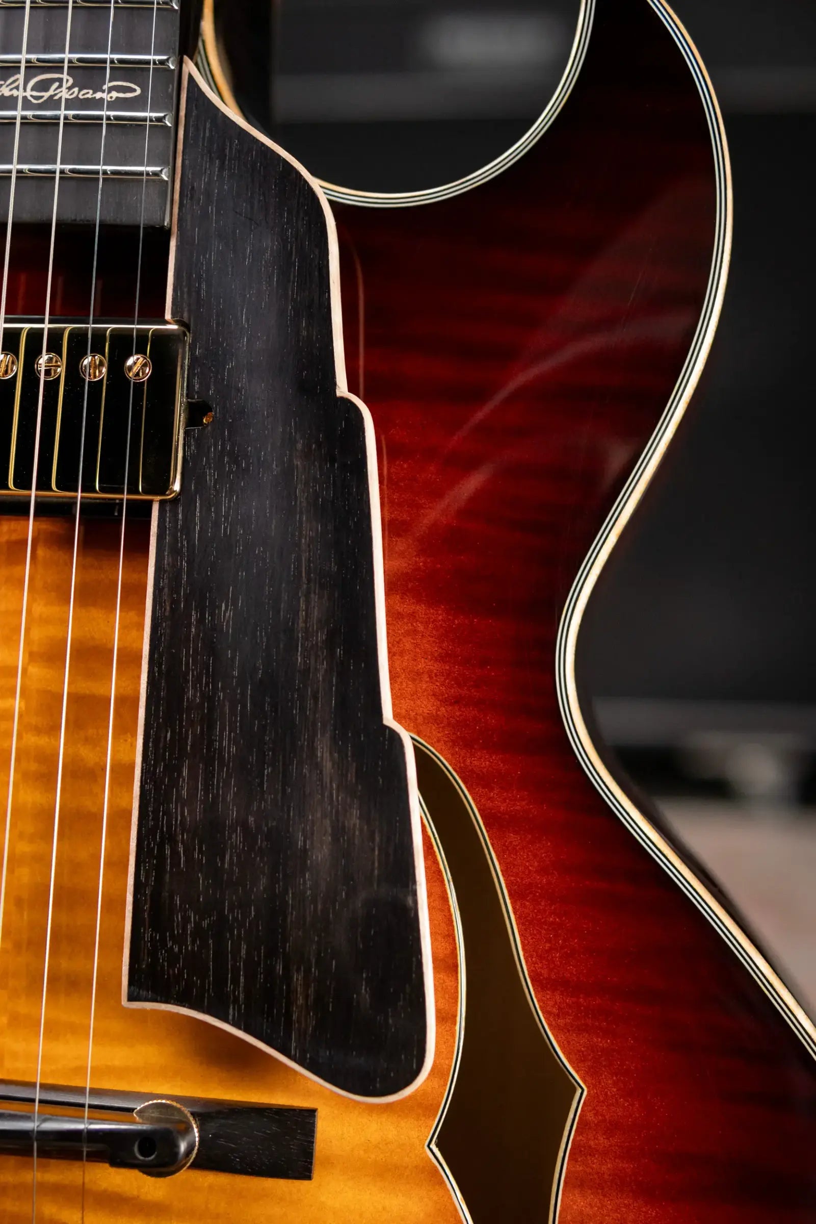 Eastman AR480CE-SB John Pisano Signature Archtop Hollowbody Electric Guitar - Sunburst with Hardshell Case