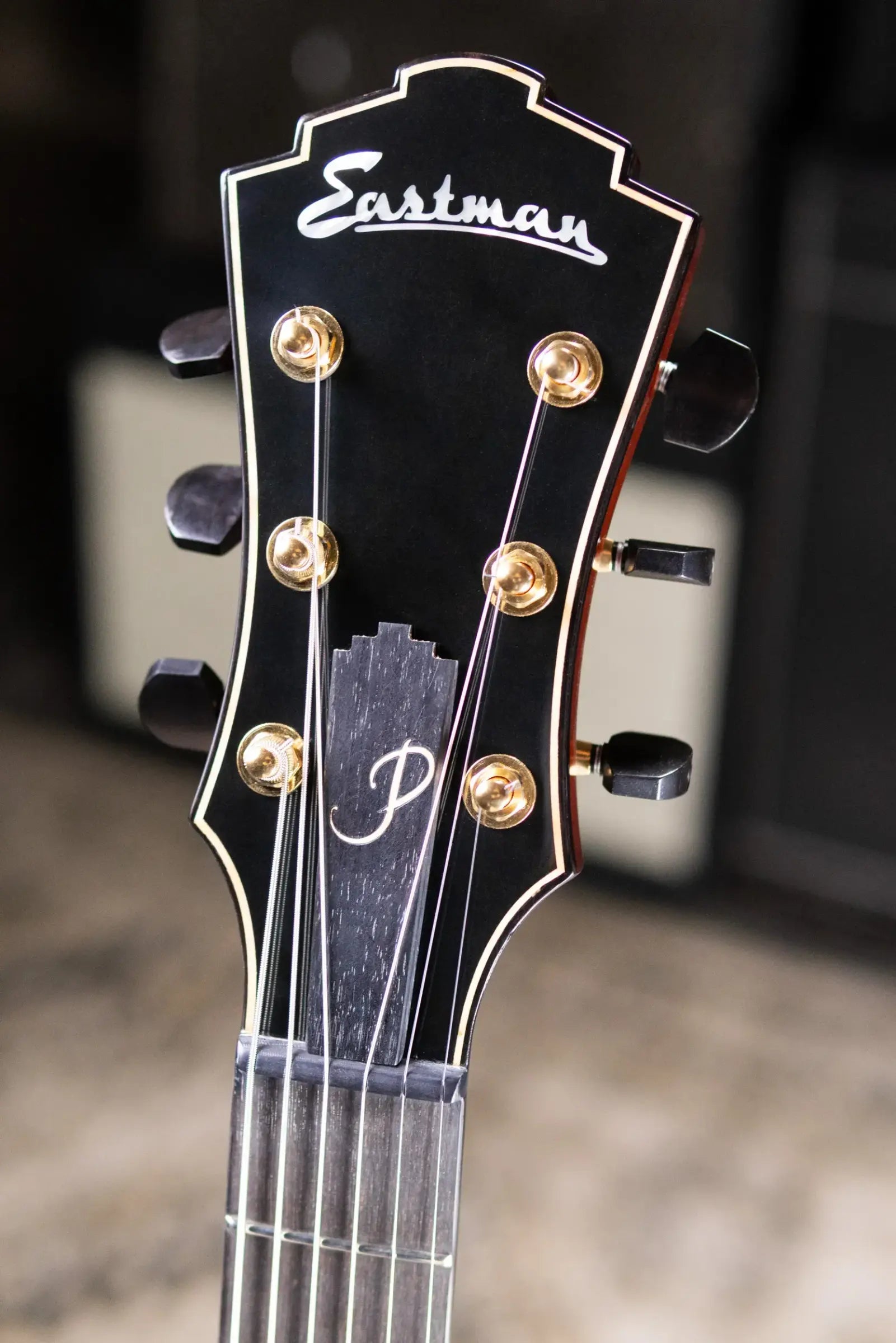 Eastman AR480CE-SB John Pisano Signature Archtop Hollowbody Electric Guitar - Sunburst with Hardshell Case