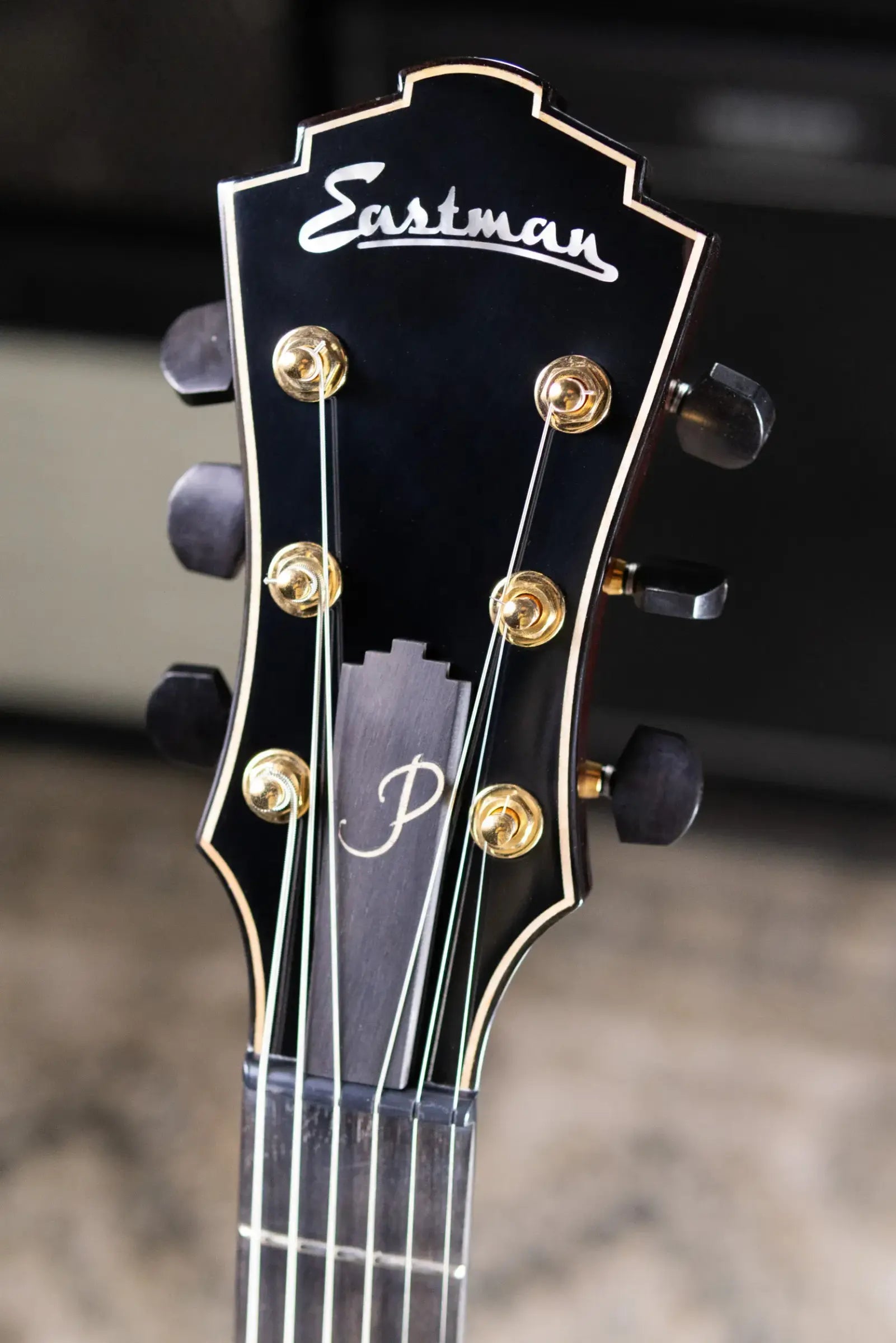 Eastman AR480CE-SB John Pisano Signature Archtop Hollowbody Electric Guitar - Sunburst with Hardshell Case