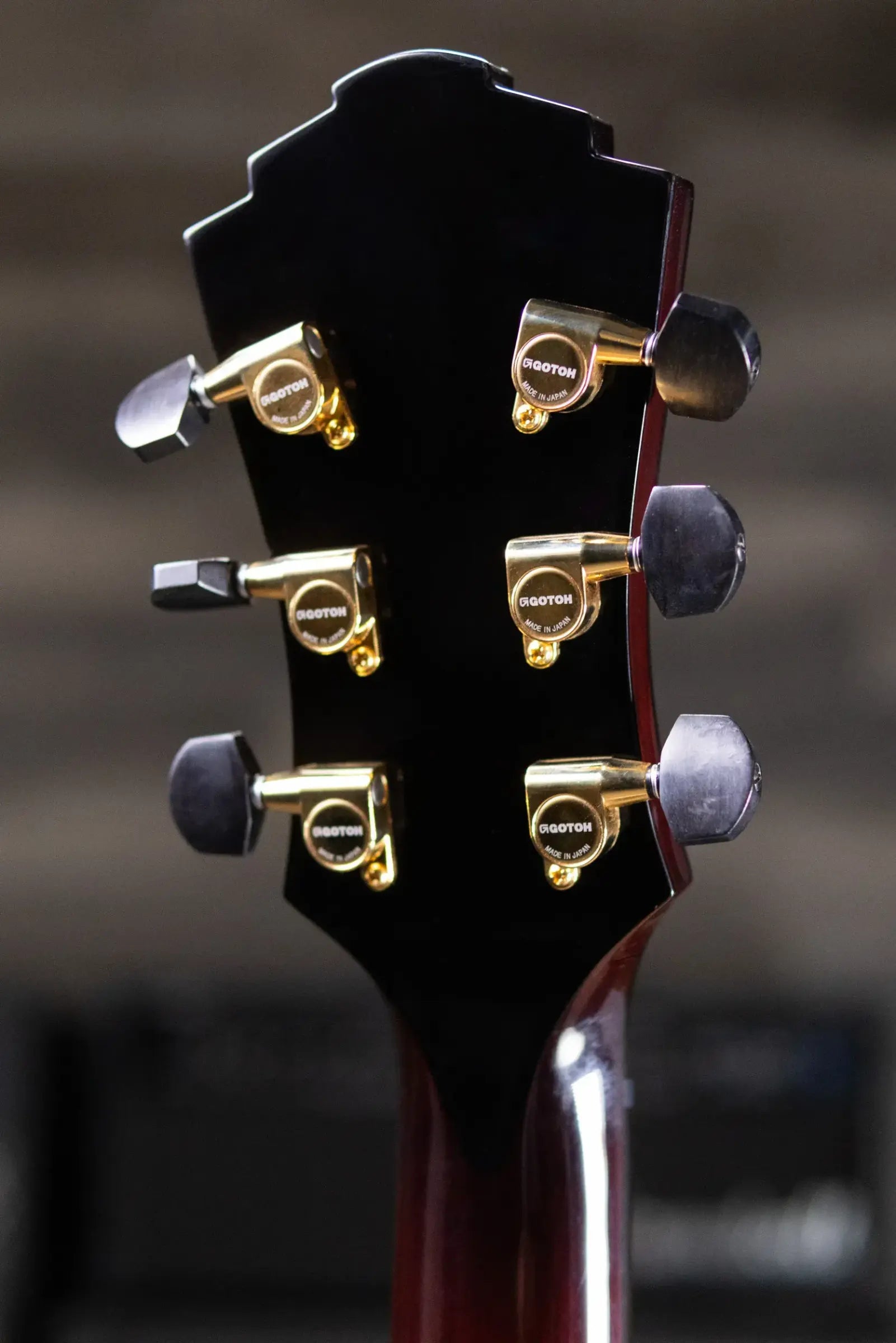 Eastman AR480CE-SB John Pisano Signature Archtop Hollowbody Electric Guitar - Sunburst with Hardshell Case