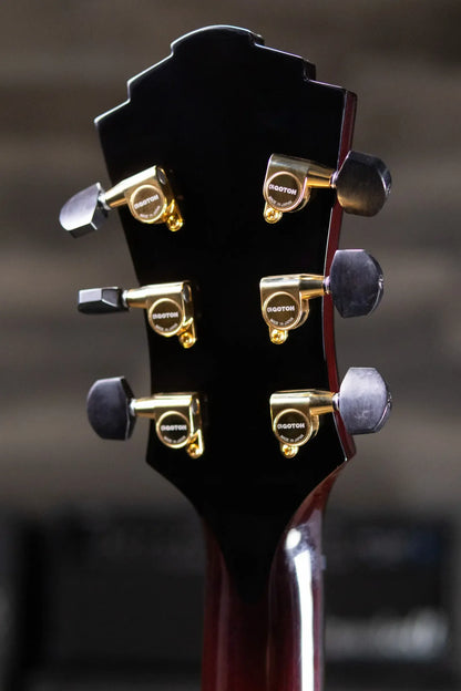 Eastman AR480CE-SB John Pisano Signature Archtop Hollowbody Electric Guitar - Sunburst with Hardshell Case