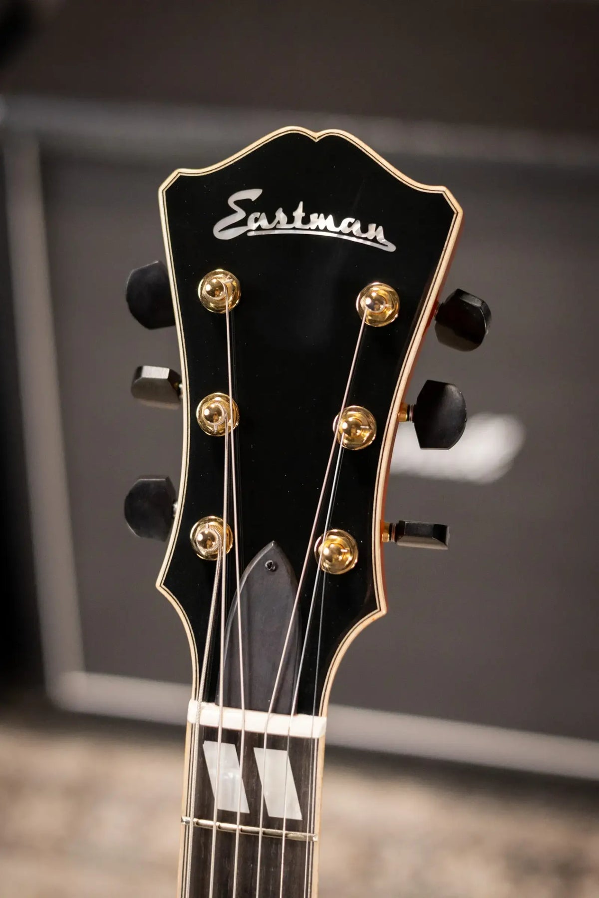 Eastman AR580CE-HB Archtop Electric Guitar - Honey Burst with Hardshell Case