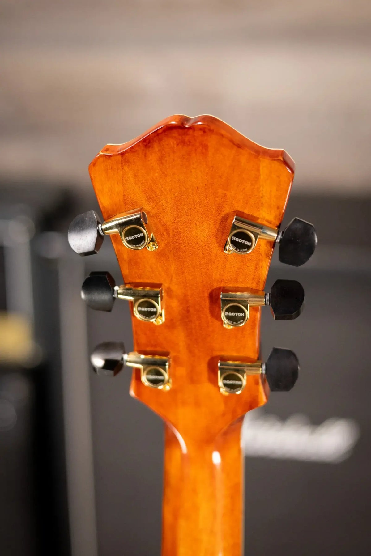 Eastman AR580CE-HB Archtop Electric Guitar - Honey Burst with Hardshell Case