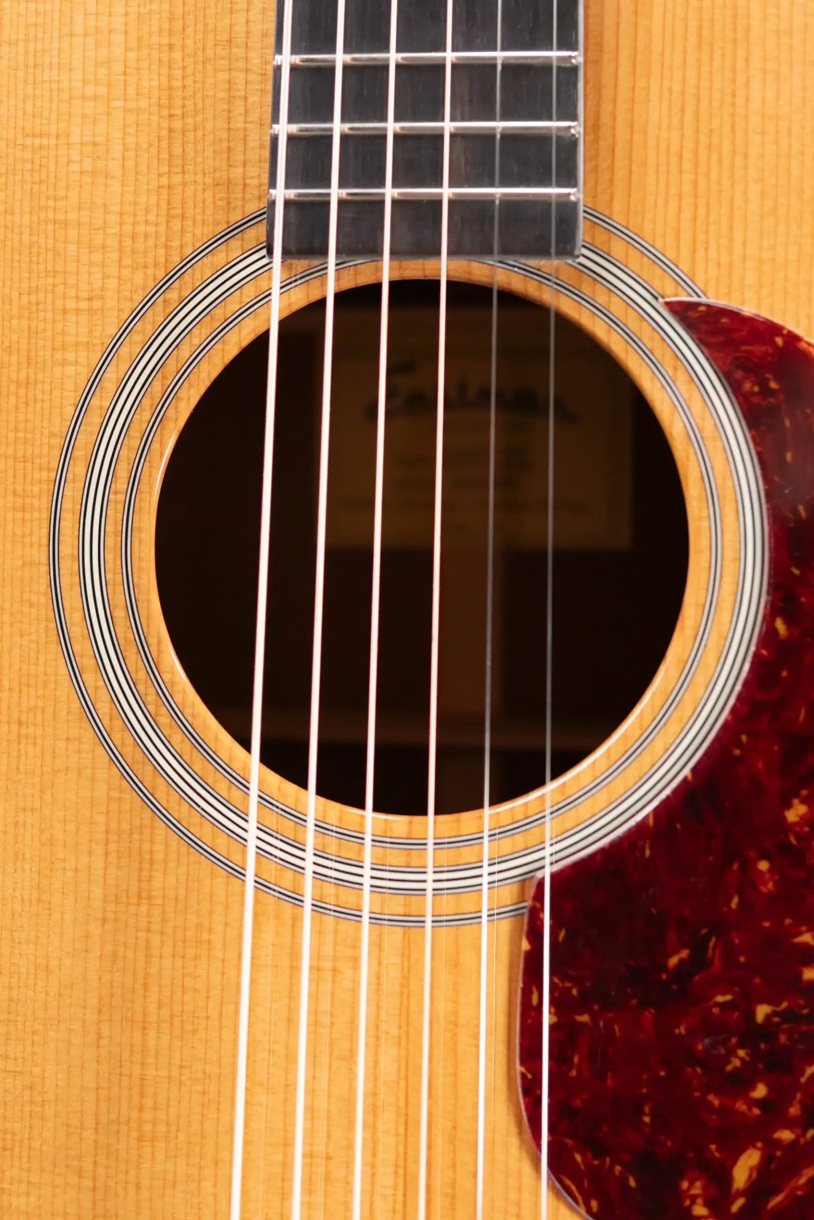 Eastman E10D-TC Dreadnought Acoustic Guitar with Hardshell Case