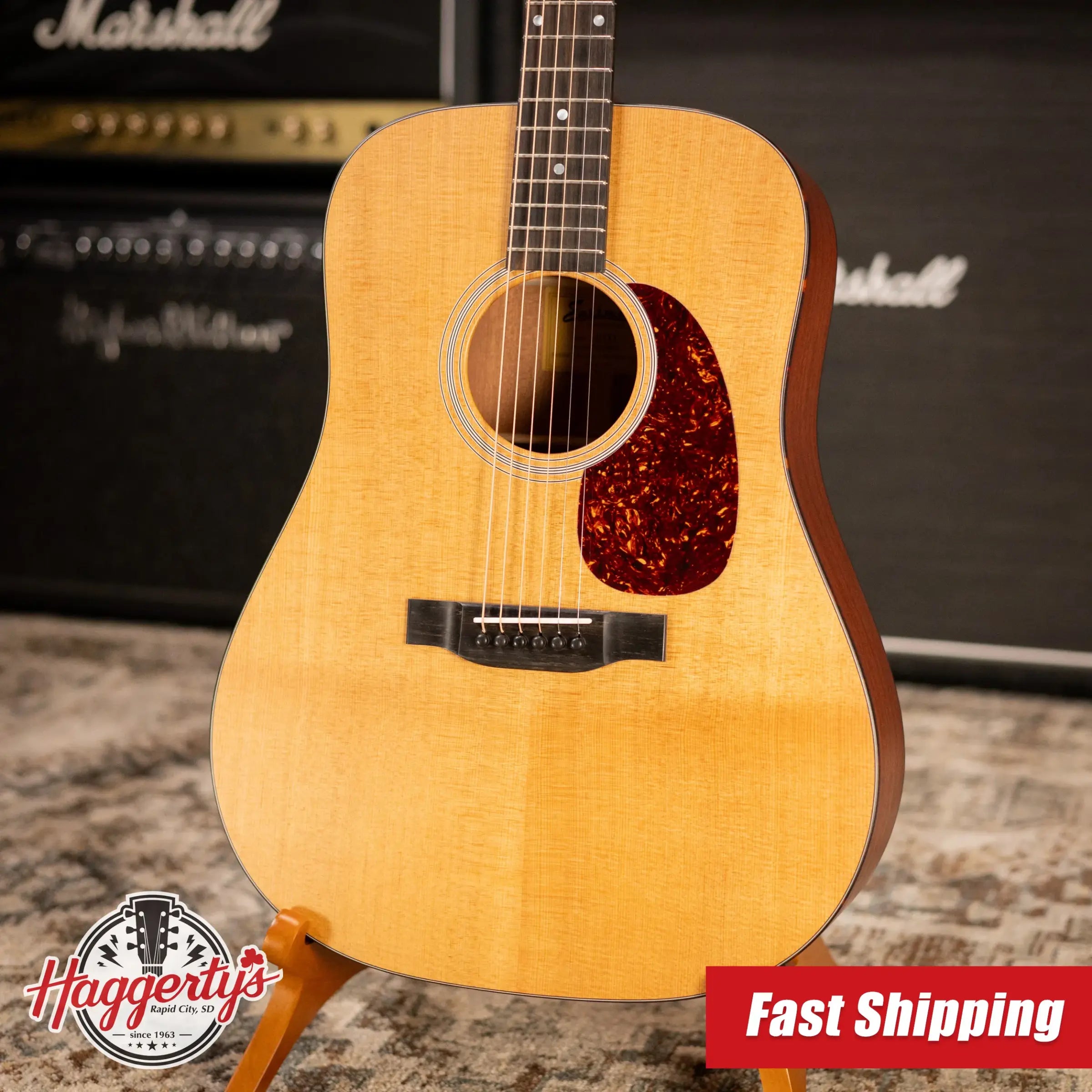 Eastman E1D Dreadnought Acoustic Guitar with Gig Bag