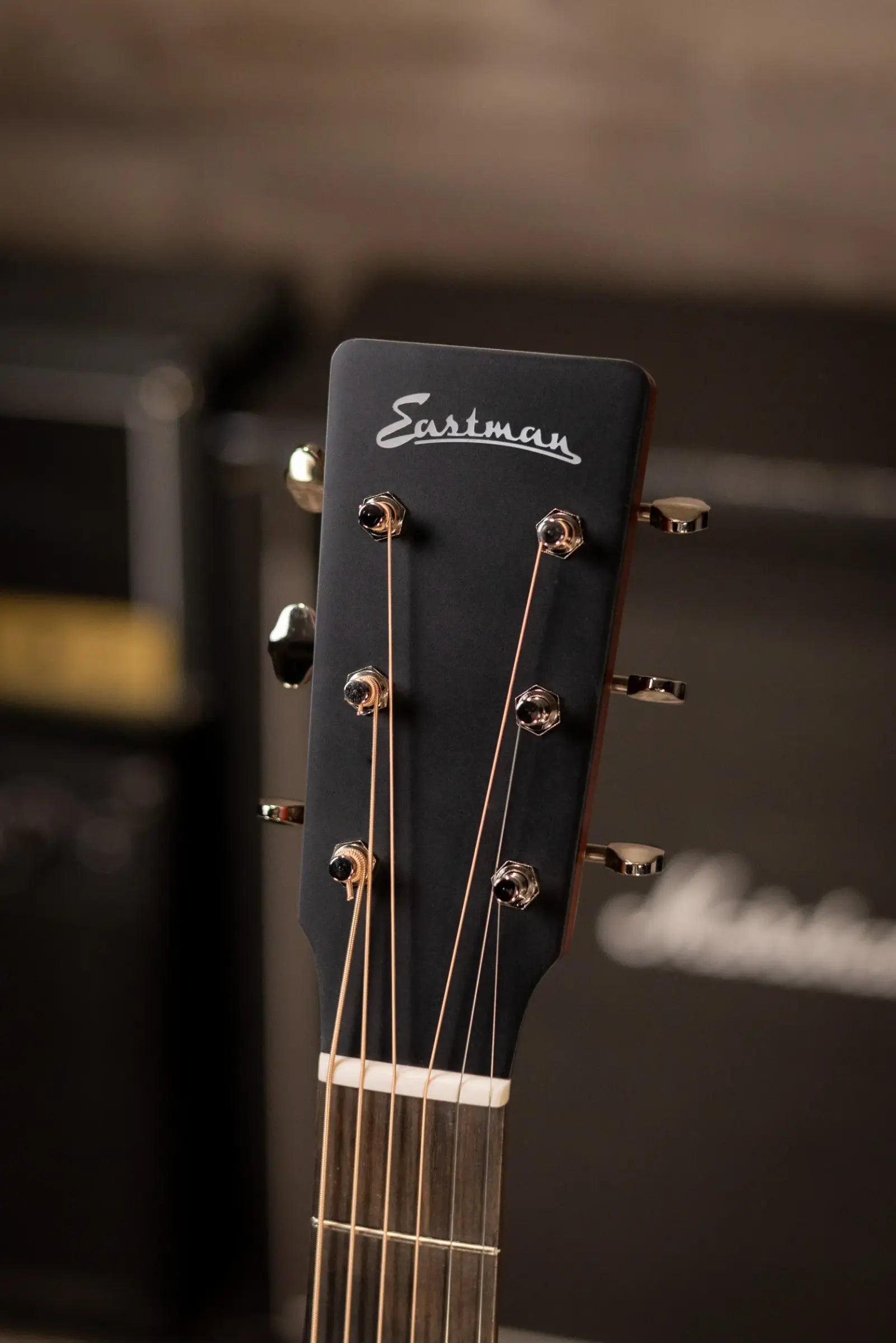 Eastman E1D Dreadnought Acoustic Guitar with Gig Bag