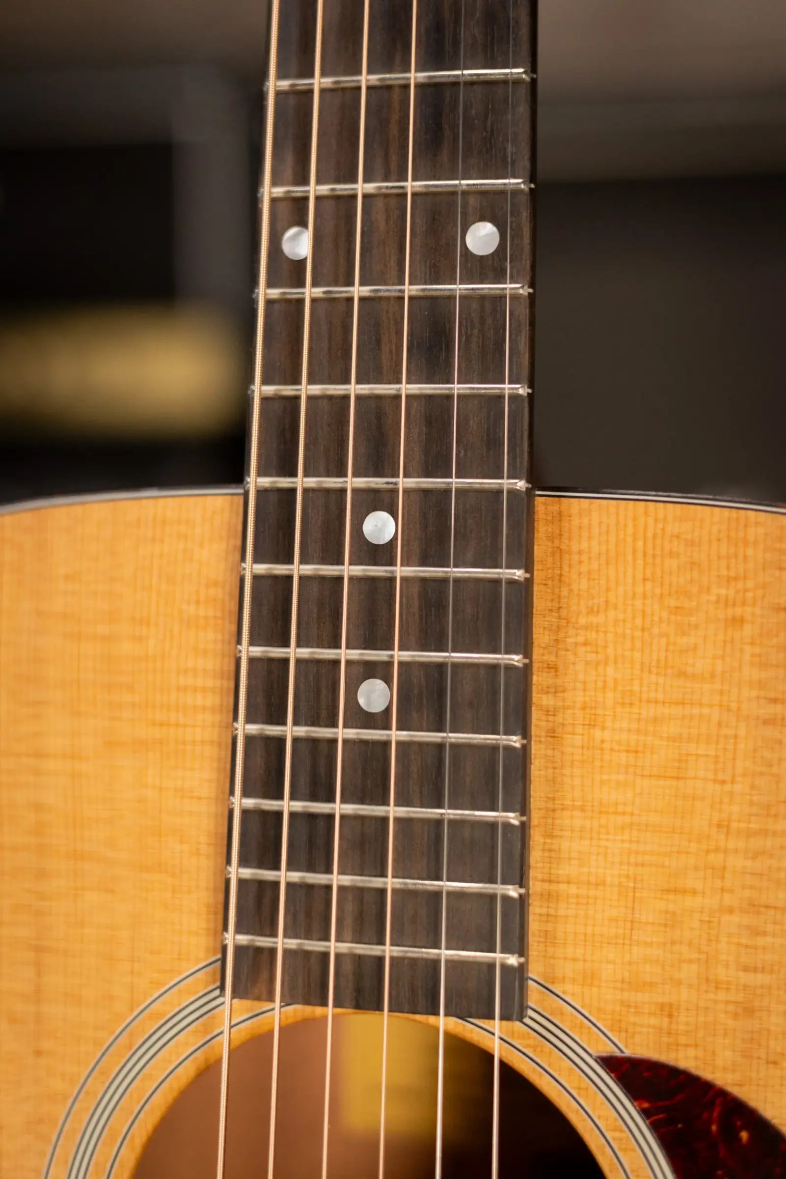 Eastman E1D Dreadnought Acoustic Guitar with Gig Bag