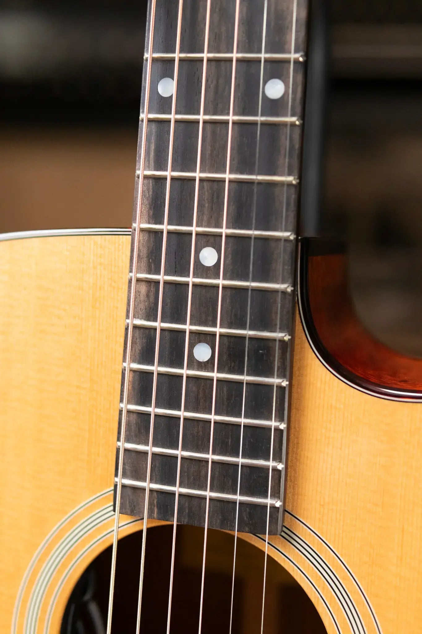 Eastman E1OMCE-DLX Acoustic/Electric Guitar