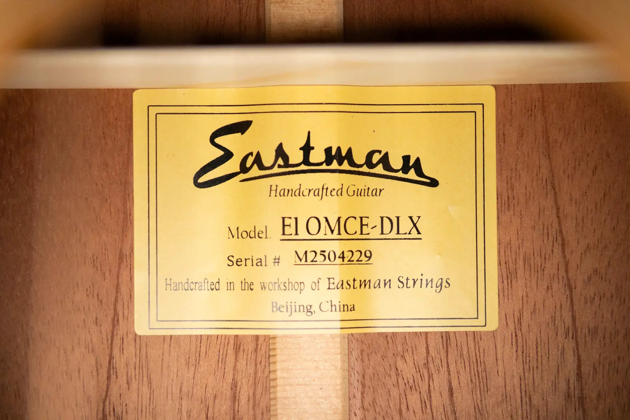 Eastman E1OMCE-DLX Acoustic/Electric Guitar