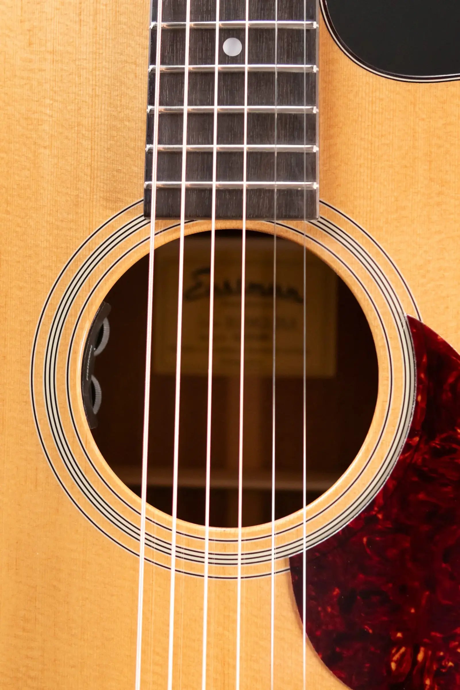 Eastman E1OMCE-DLX OM Acoustic/Electric Guitar with Gig Bag