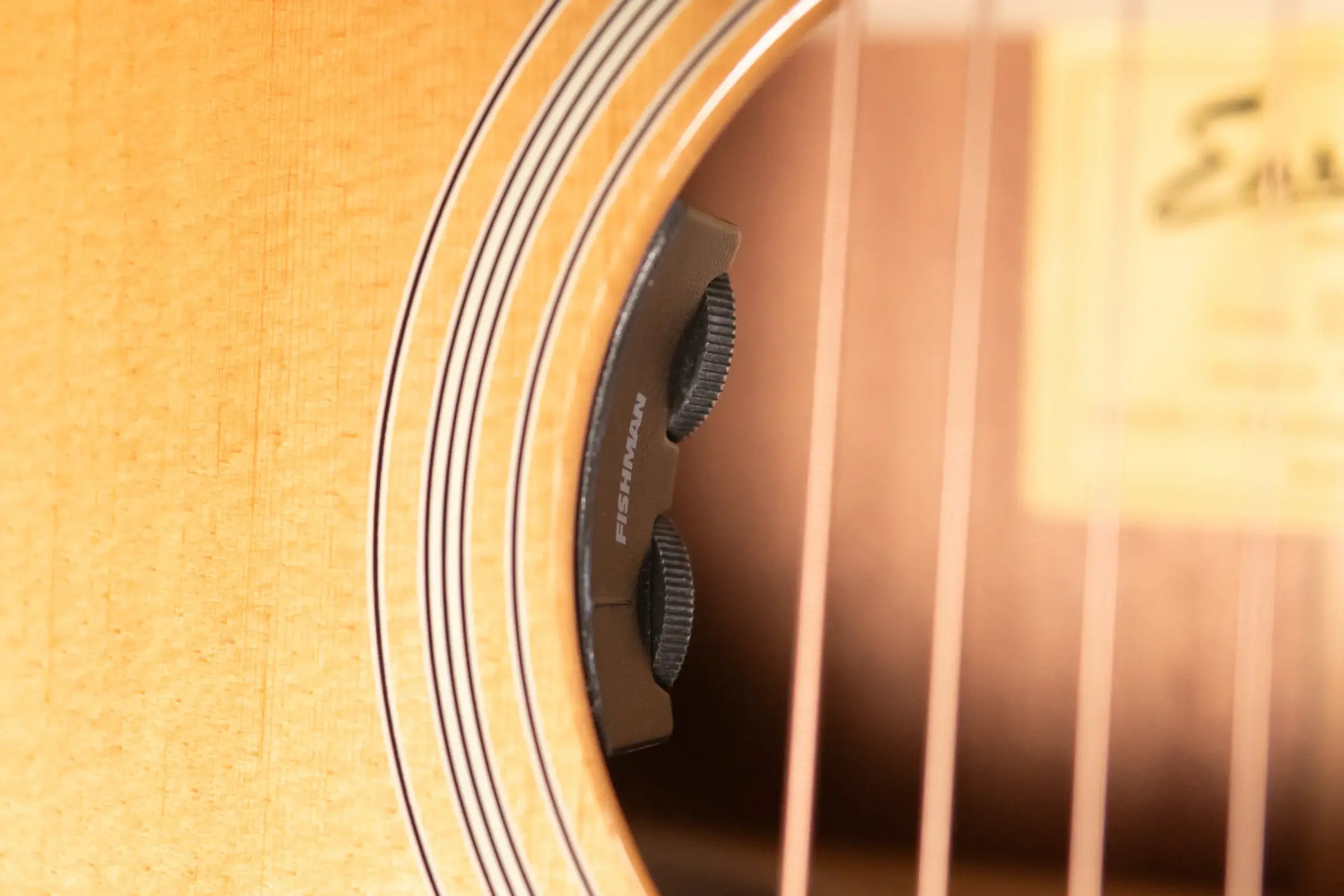 Eastman E1OMCE-DLX OM Acoustic/Electric Guitar with Gig Bag