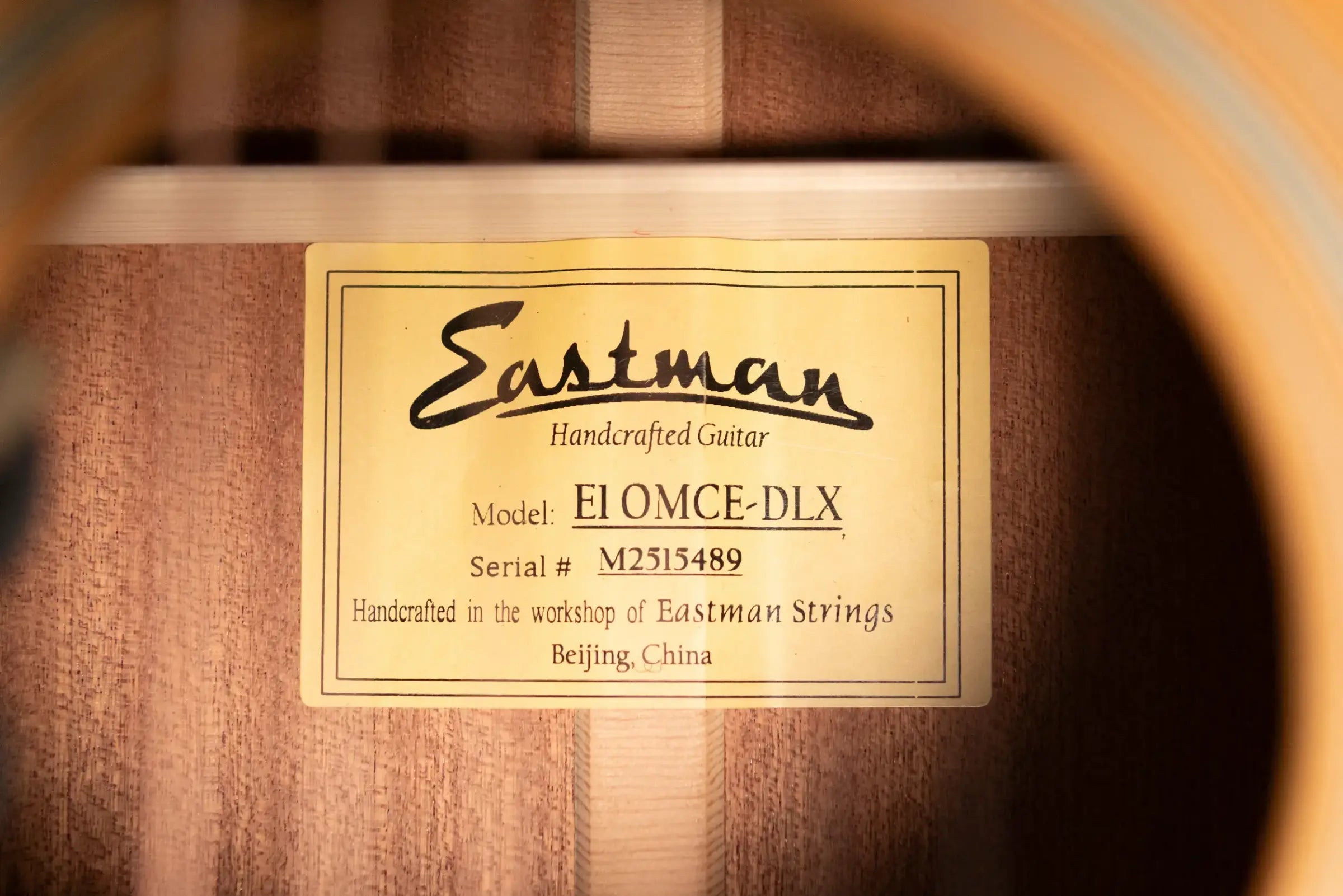 Eastman E1OMCE-DLX OM Acoustic/Electric Guitar with Gig Bag