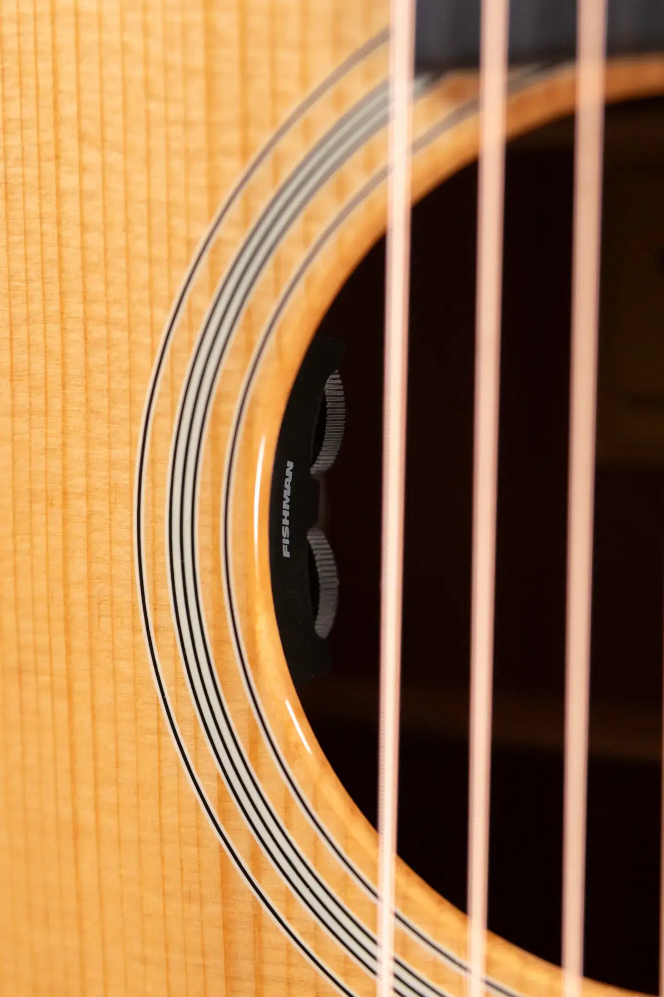 Eastman E1OM-DLX Acoustic/Electric Guitar with Gig Bag