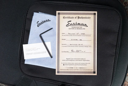 Eastman E1OOSS-SB Acoustic Guitar - Sunburst with Gig Bag