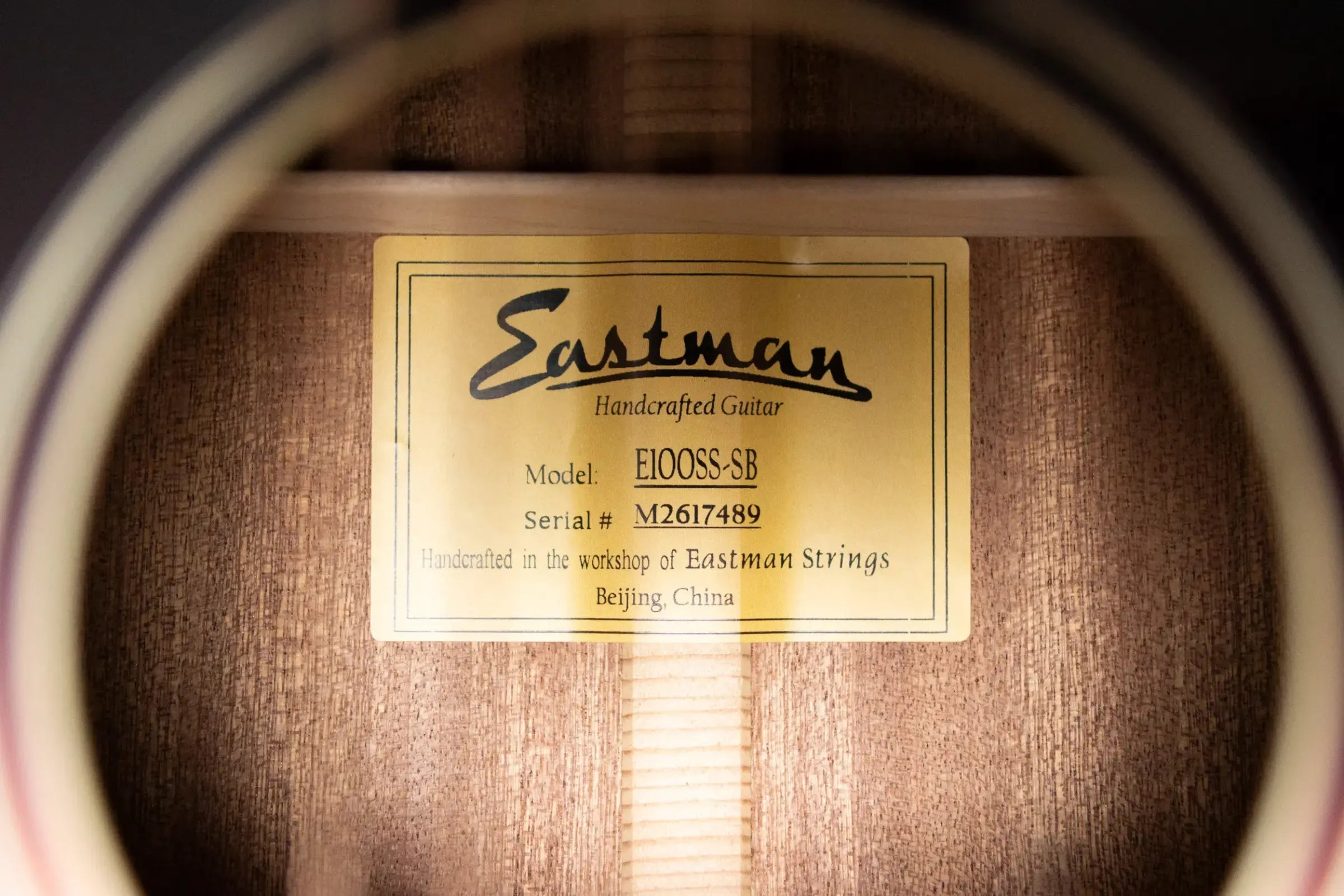 Eastman E1OOSS-SB Acoustic Guitar - Sunburst with Gig Bag