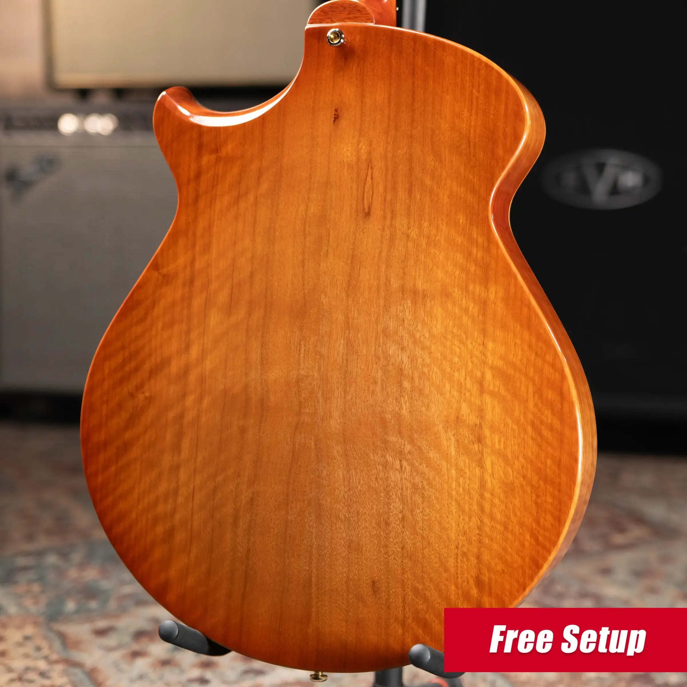 Eastman ER4 El Ray Otto D'ambrosio Signature Hollowbody Electric Guitar - Pomonaburst with Hardshell Case